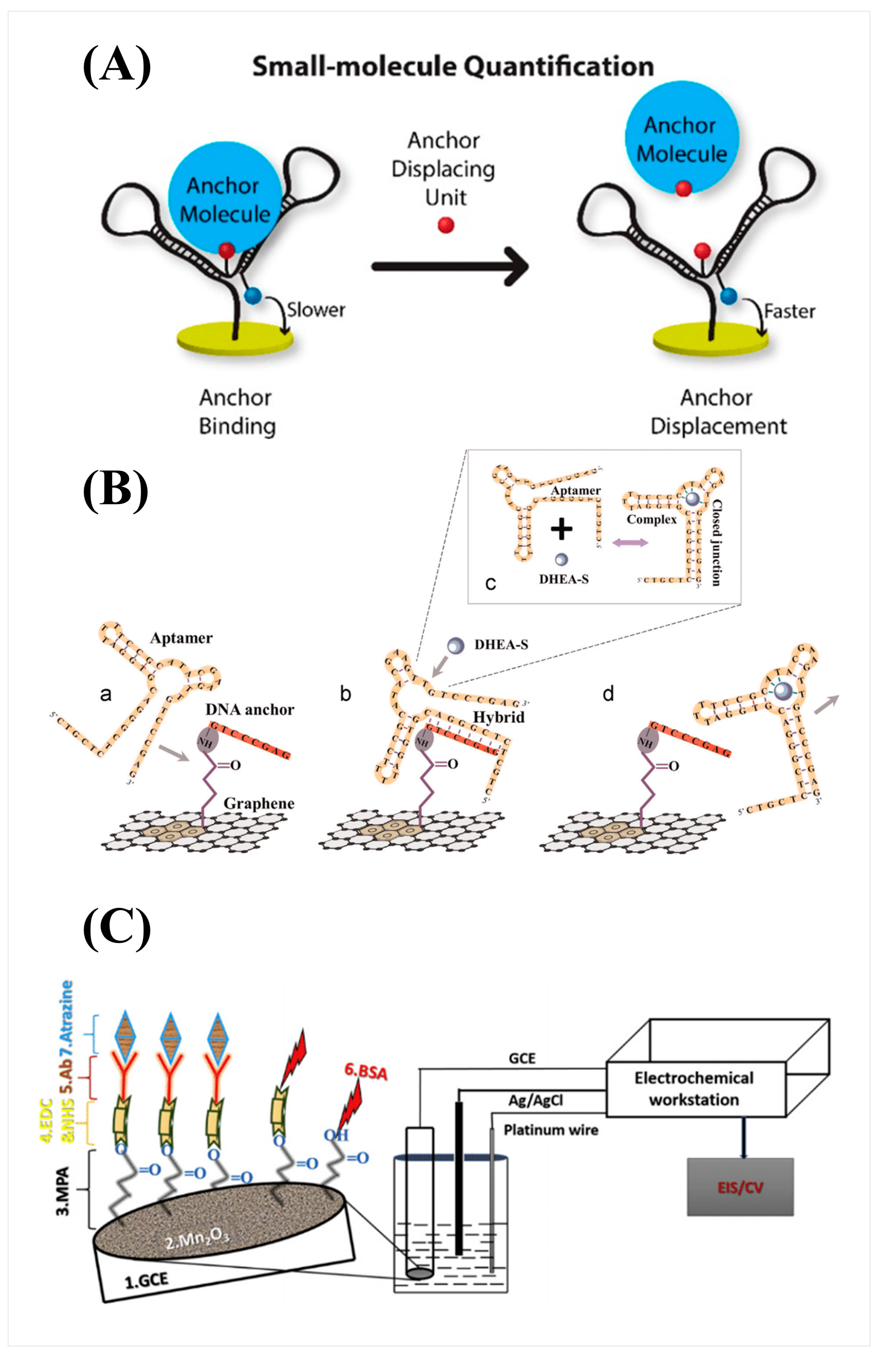 Preprints 95122 g002