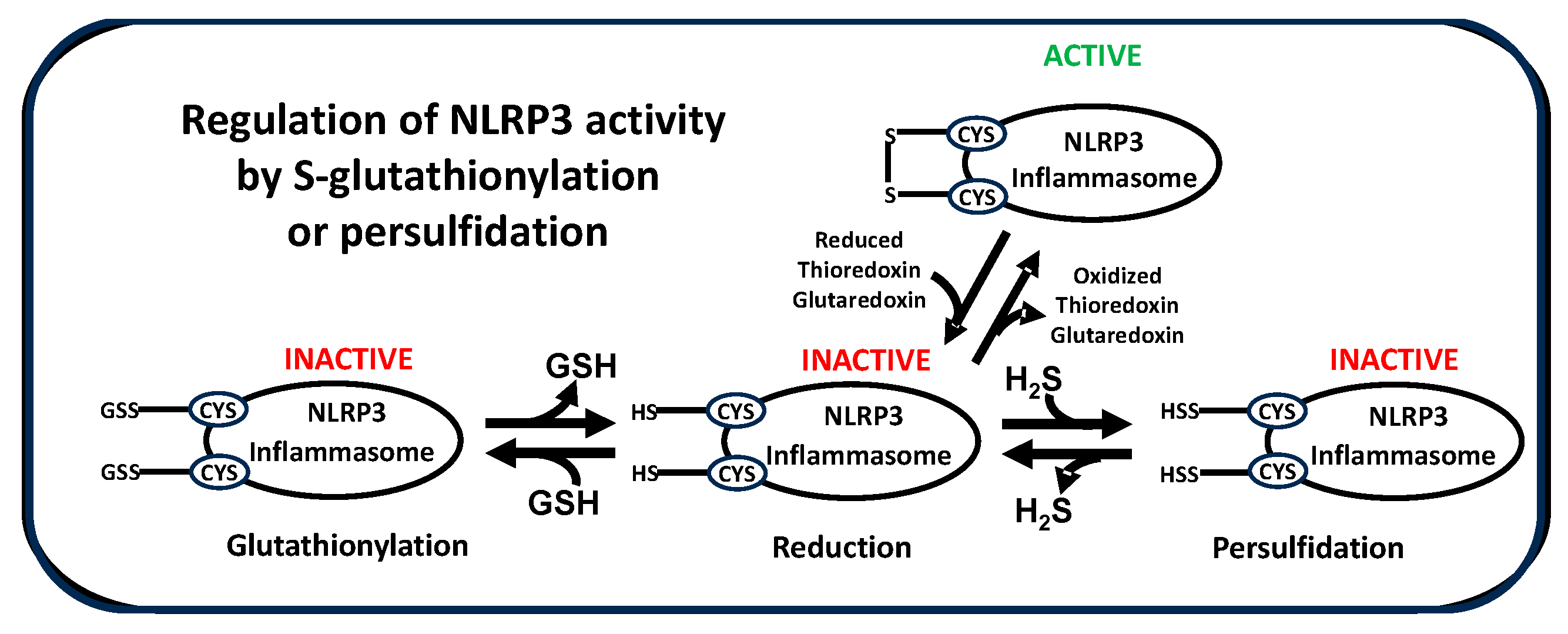 Preprints 95271 g002b