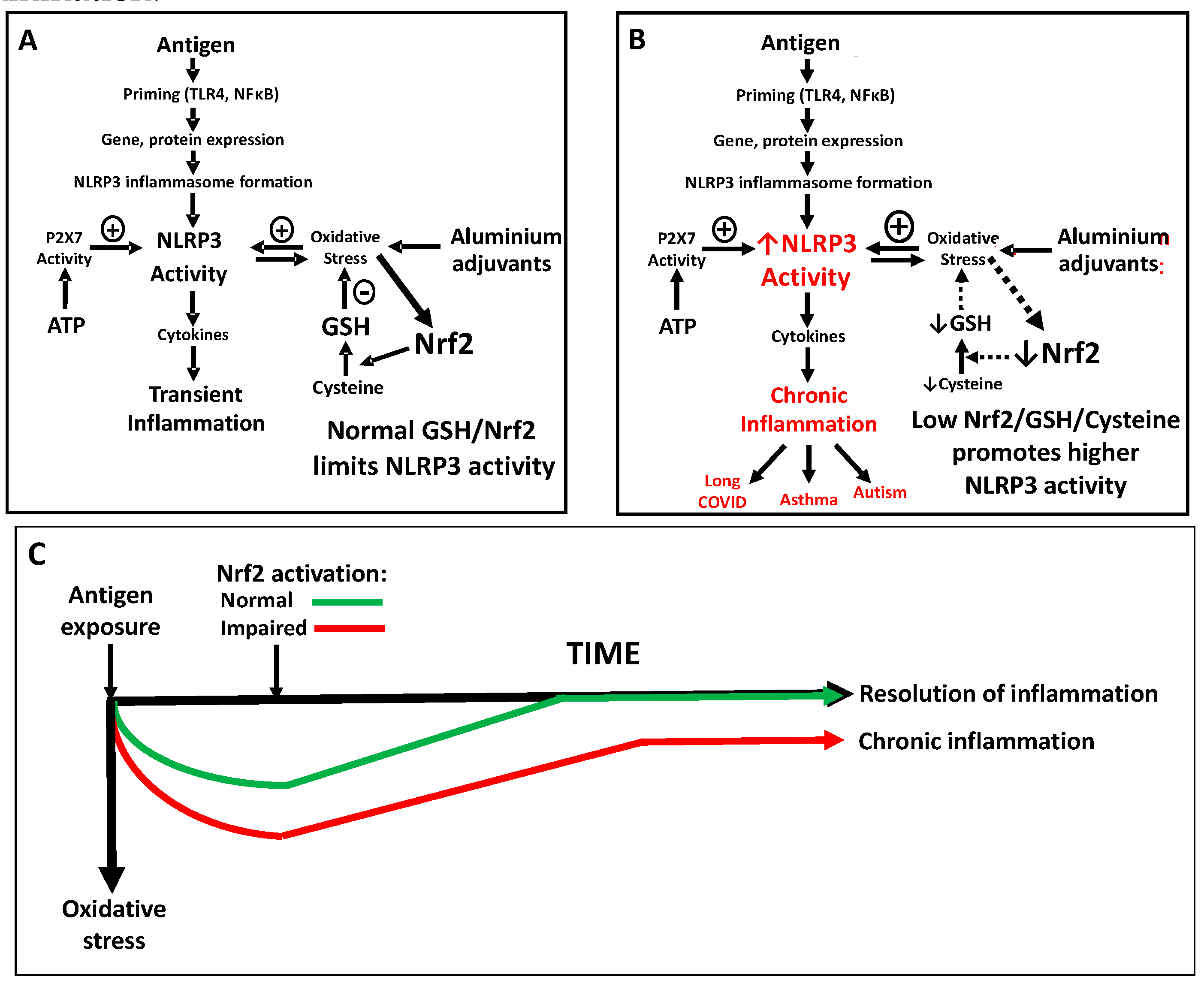 Preprints 95271 g003