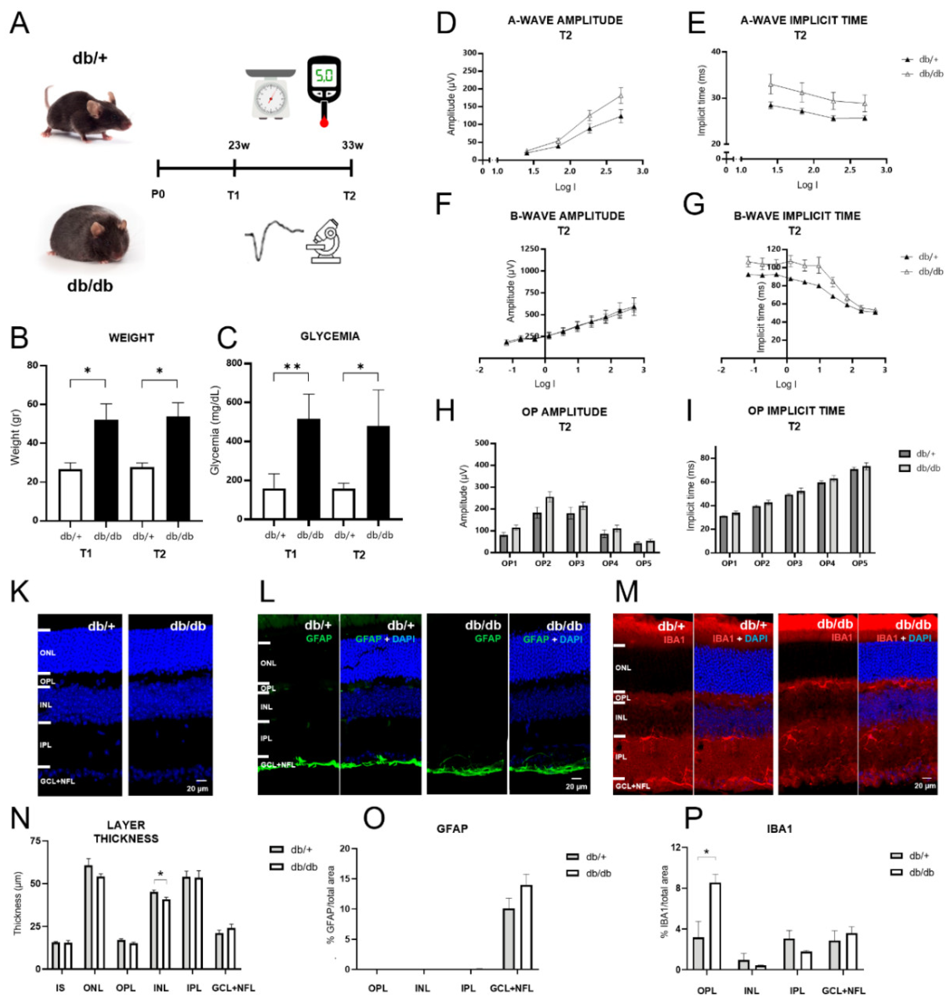 Preprints 121673 g001