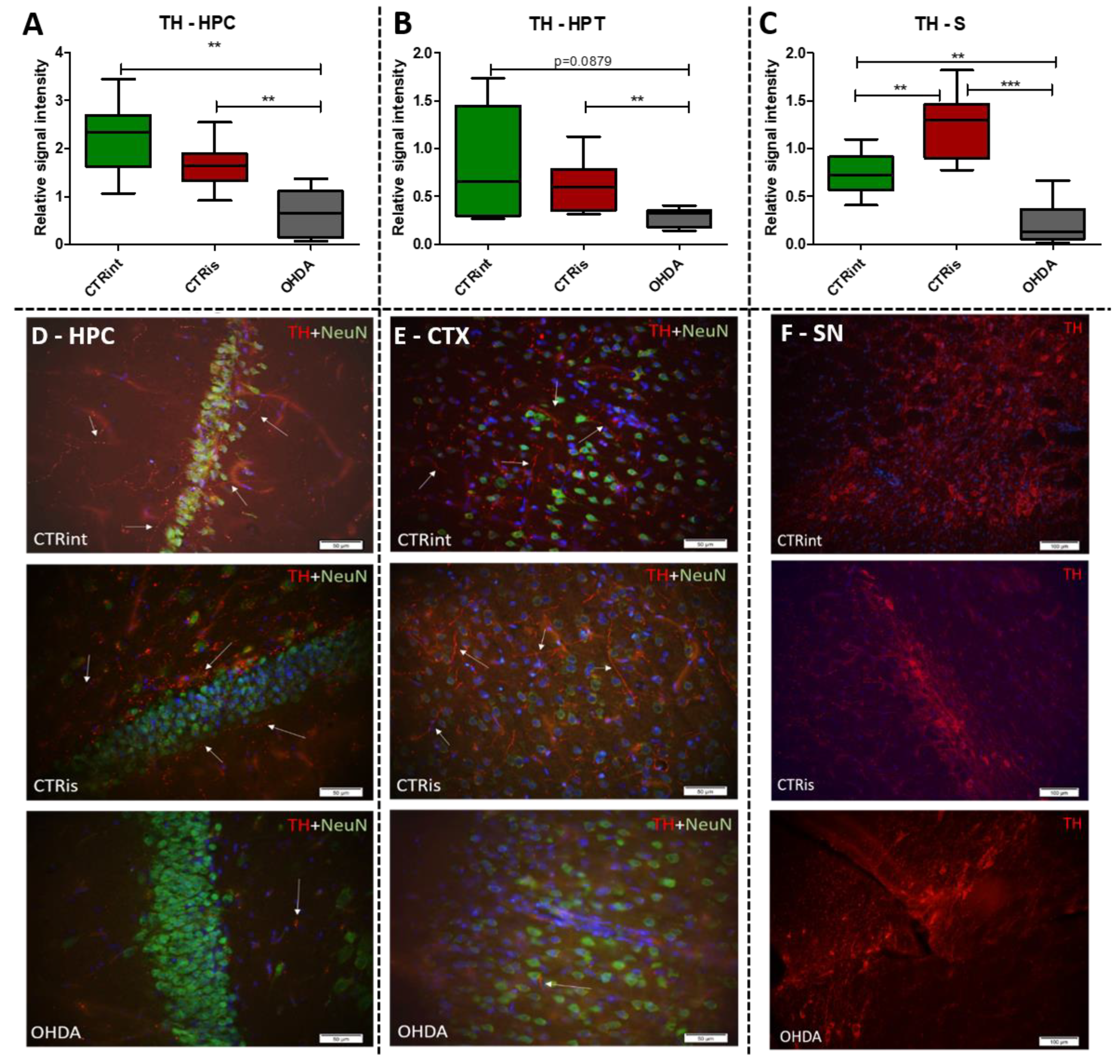 Preprints 67212 g002