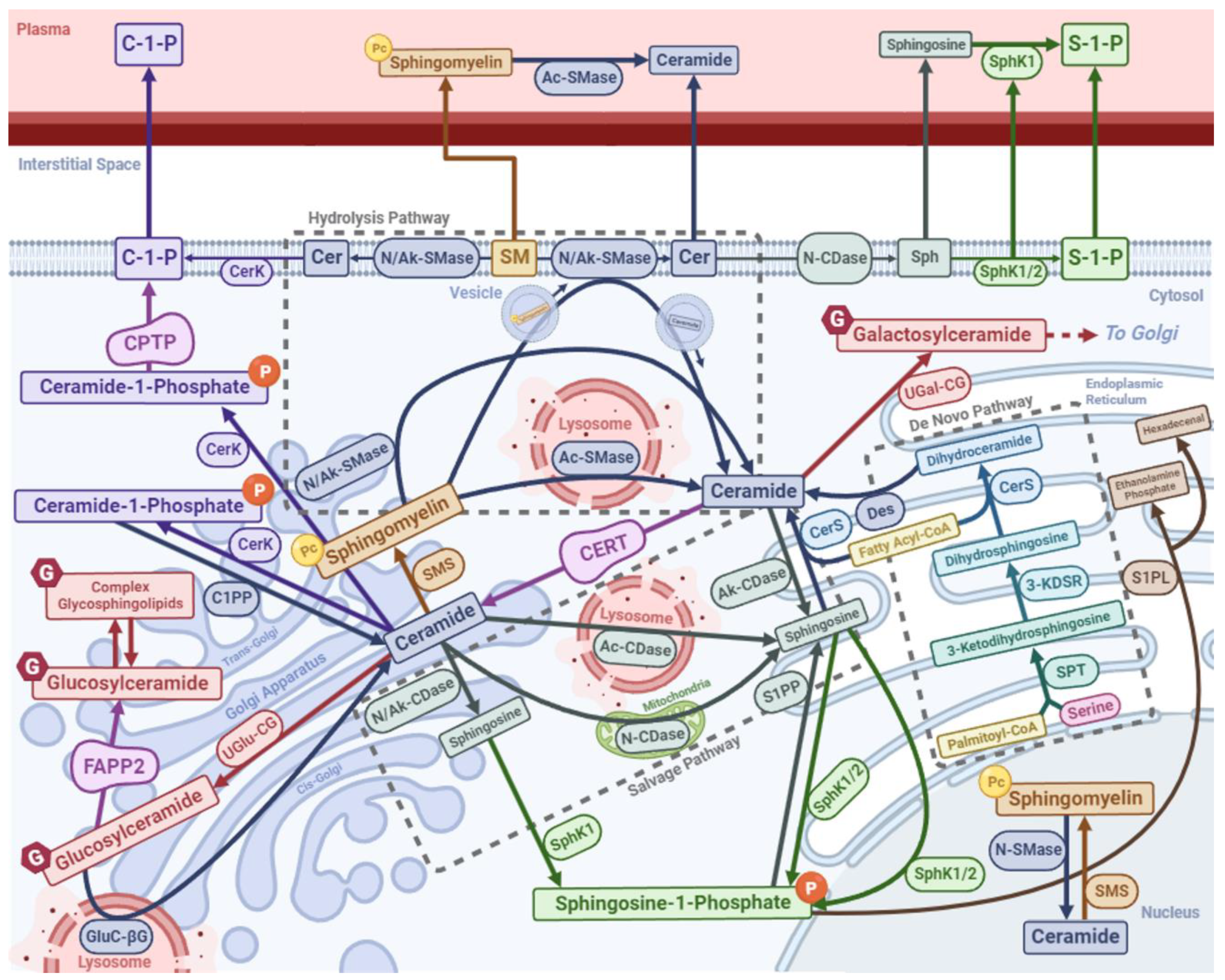 Preprints 115128 g001