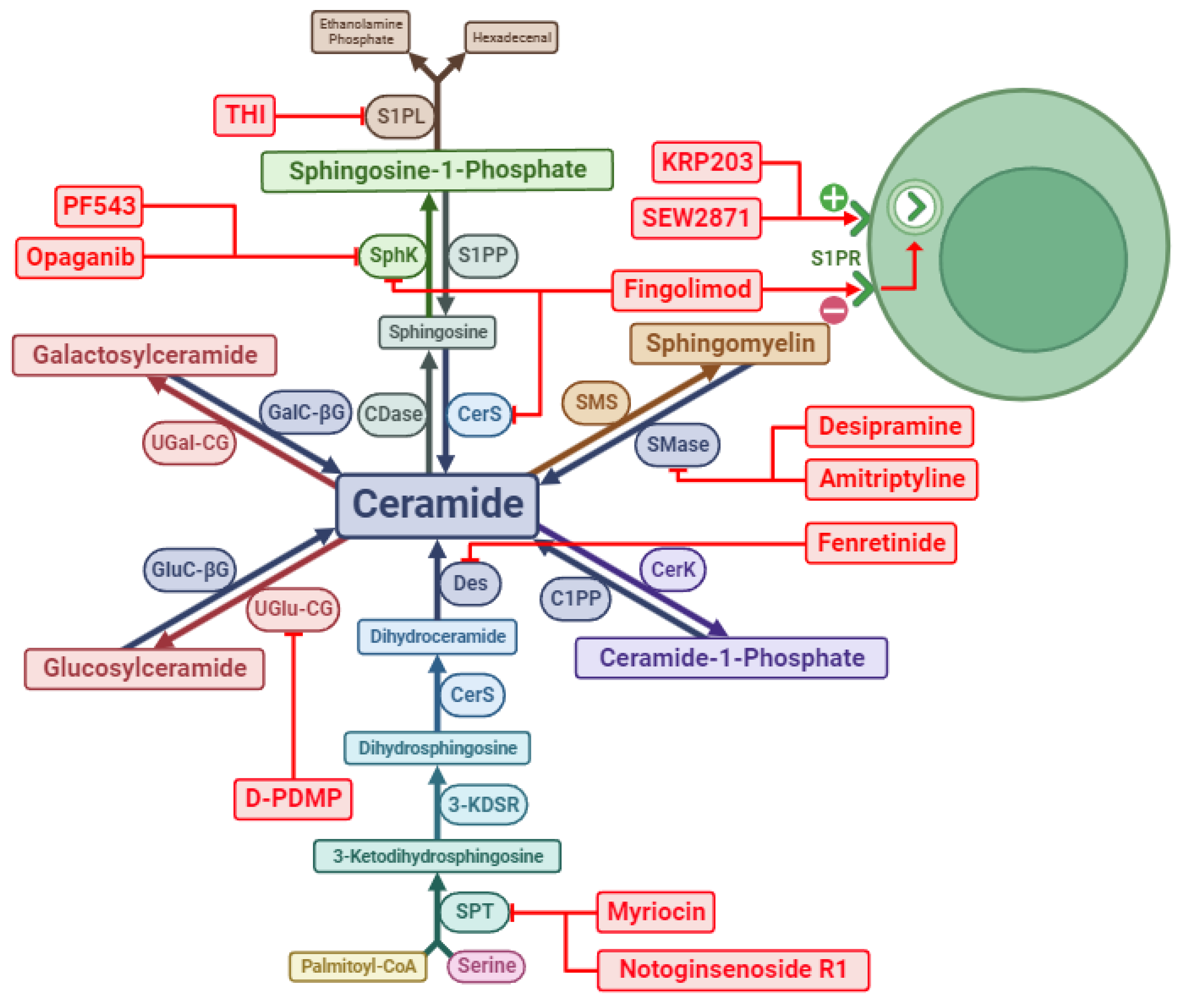 Preprints 115128 g002