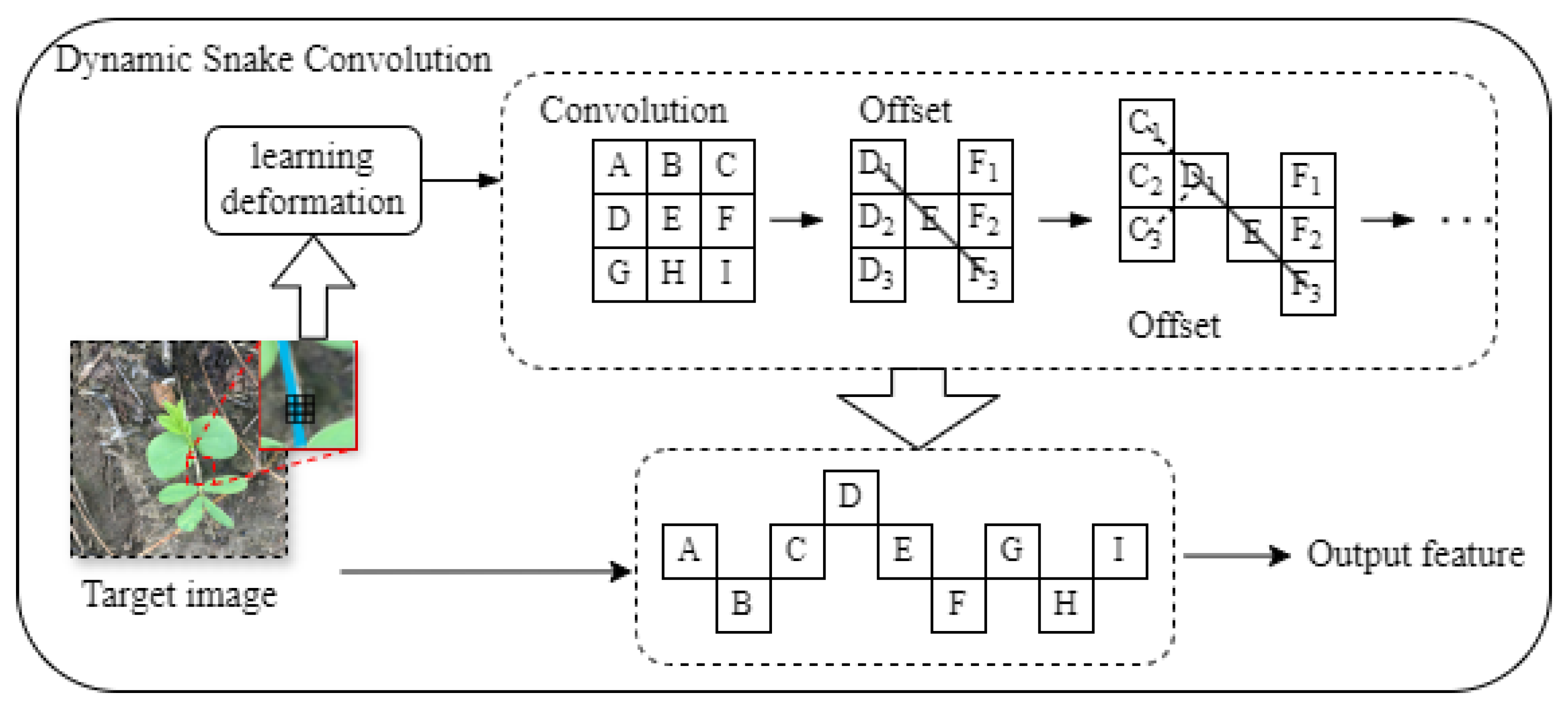 Preprints 105317 g005