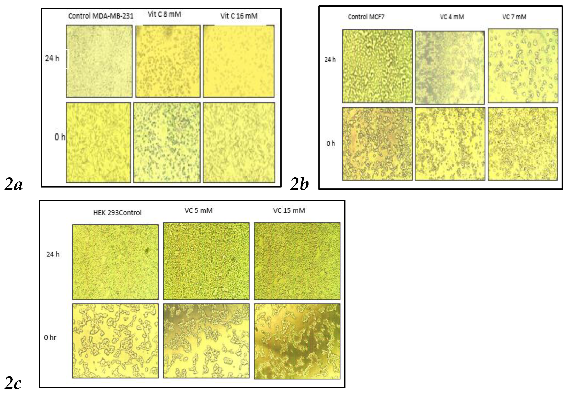 Preprints 121239 g002