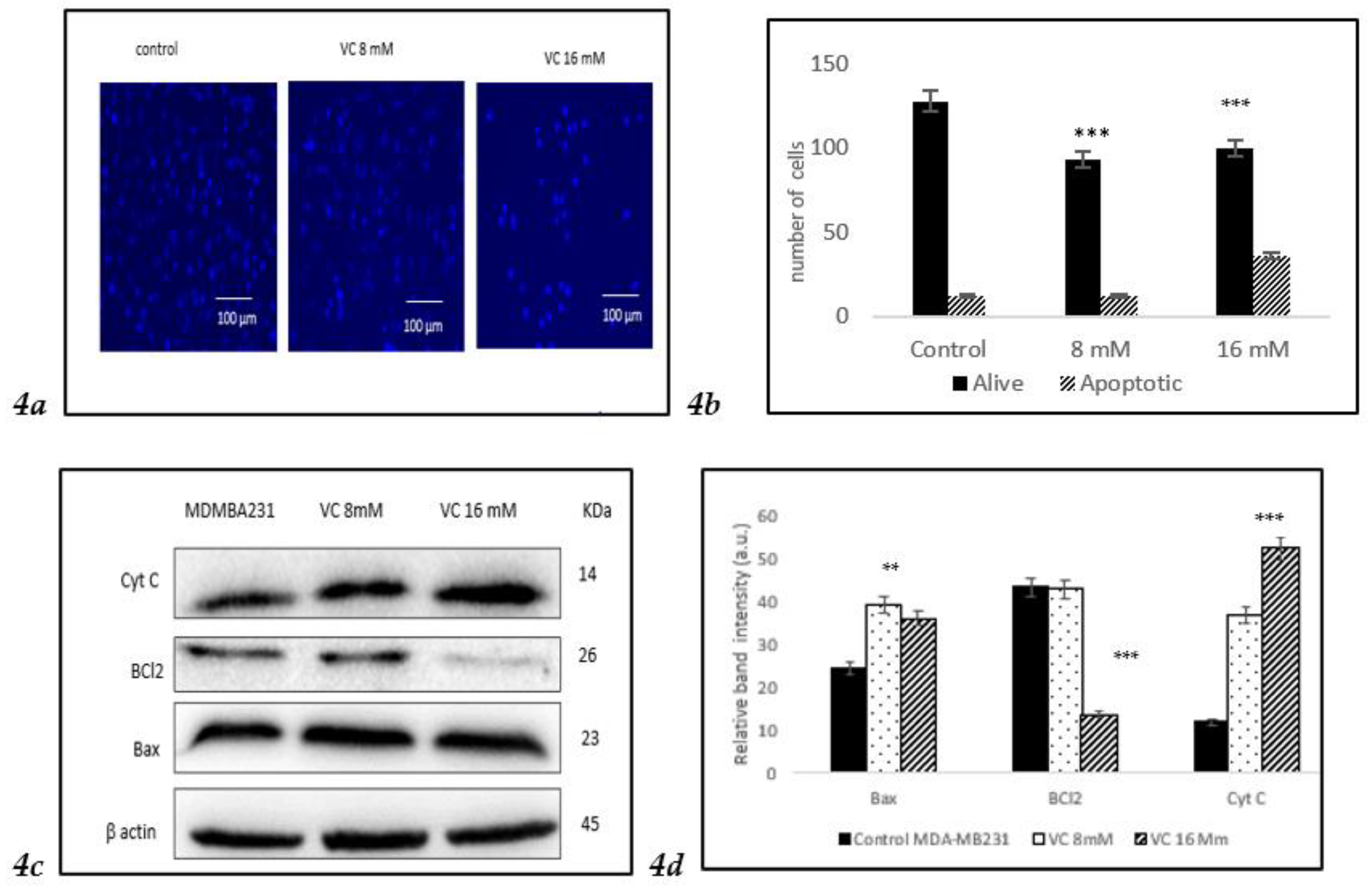 Preprints 121239 g004a