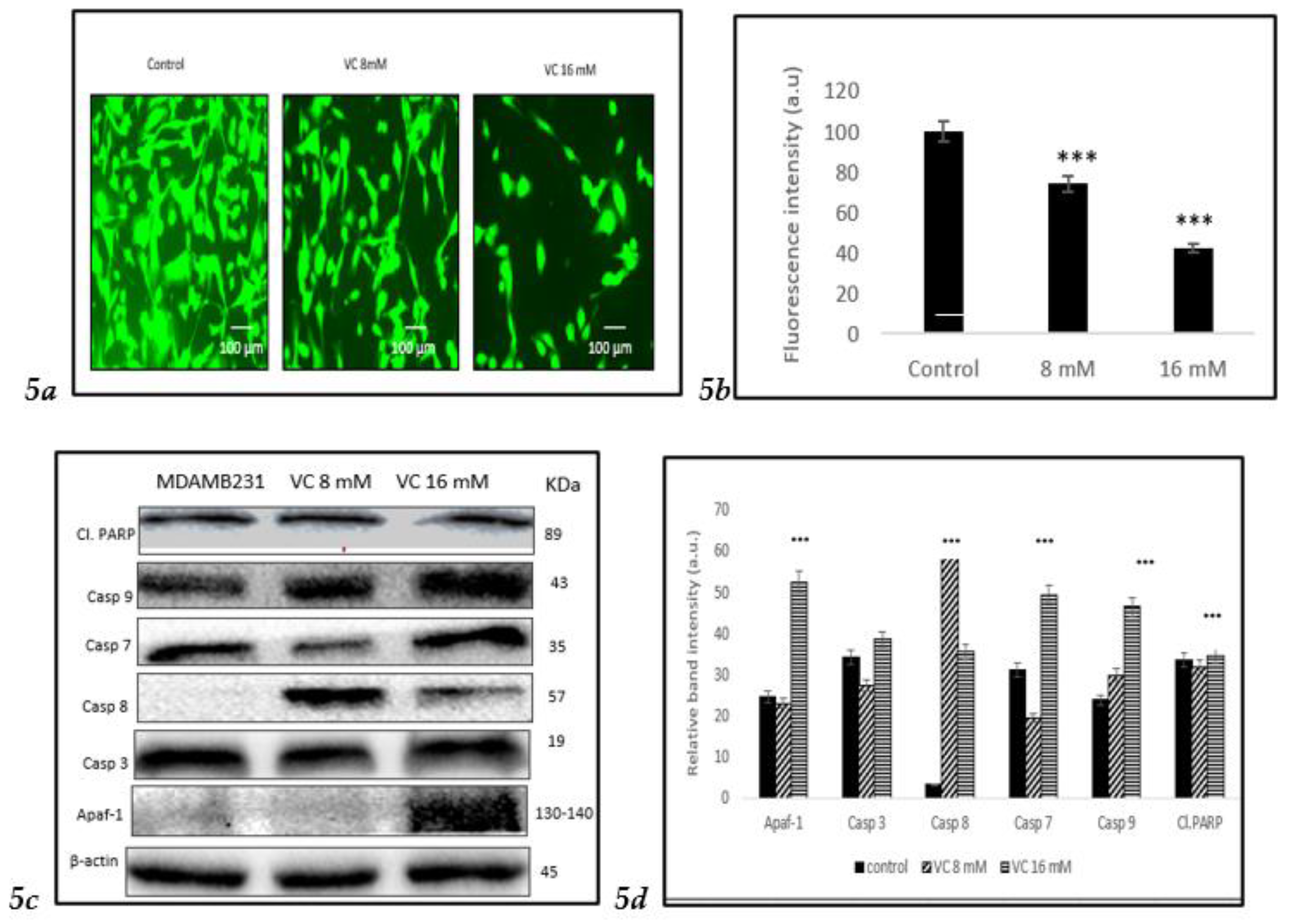 Preprints 121239 g005a