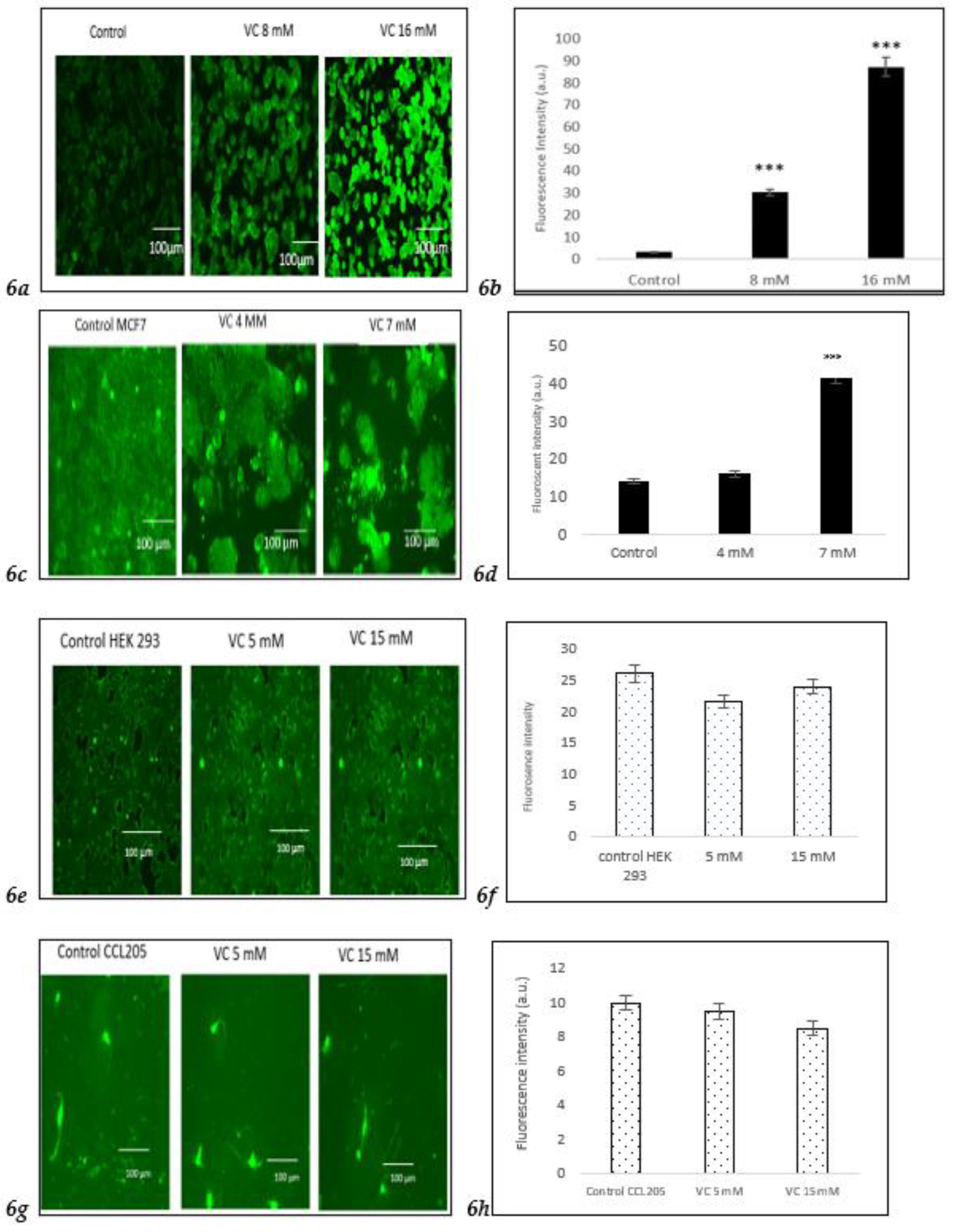 Preprints 121239 g006