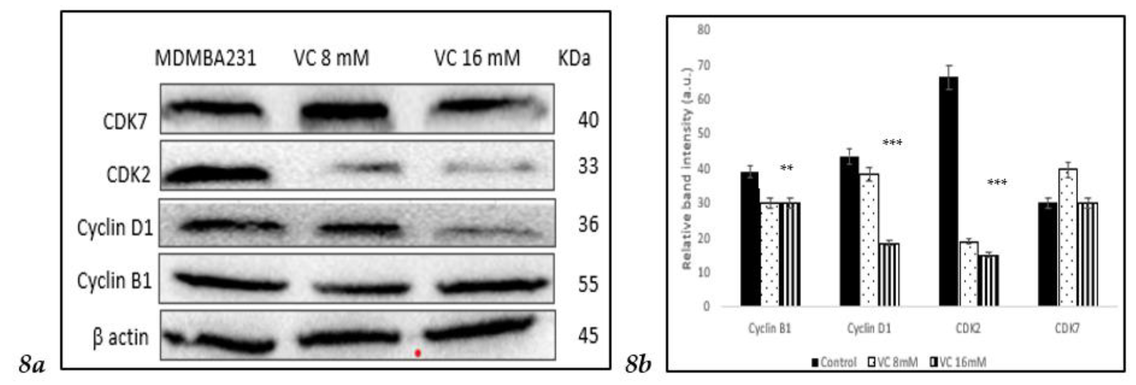 Preprints 121239 g008