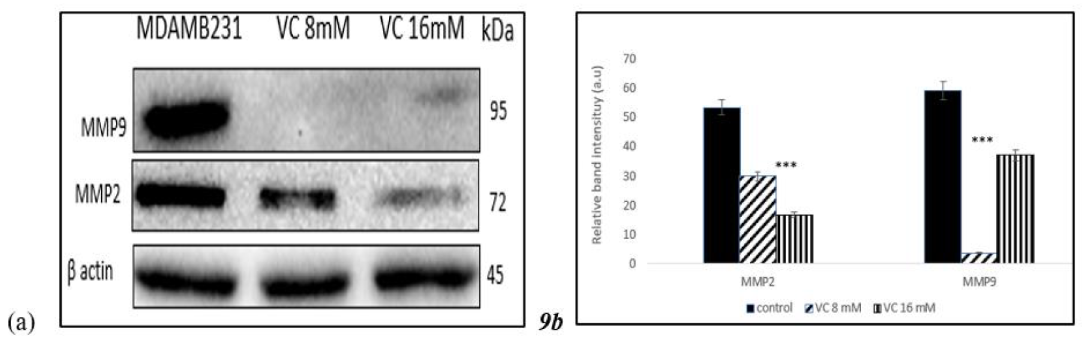 Preprints 121239 g009