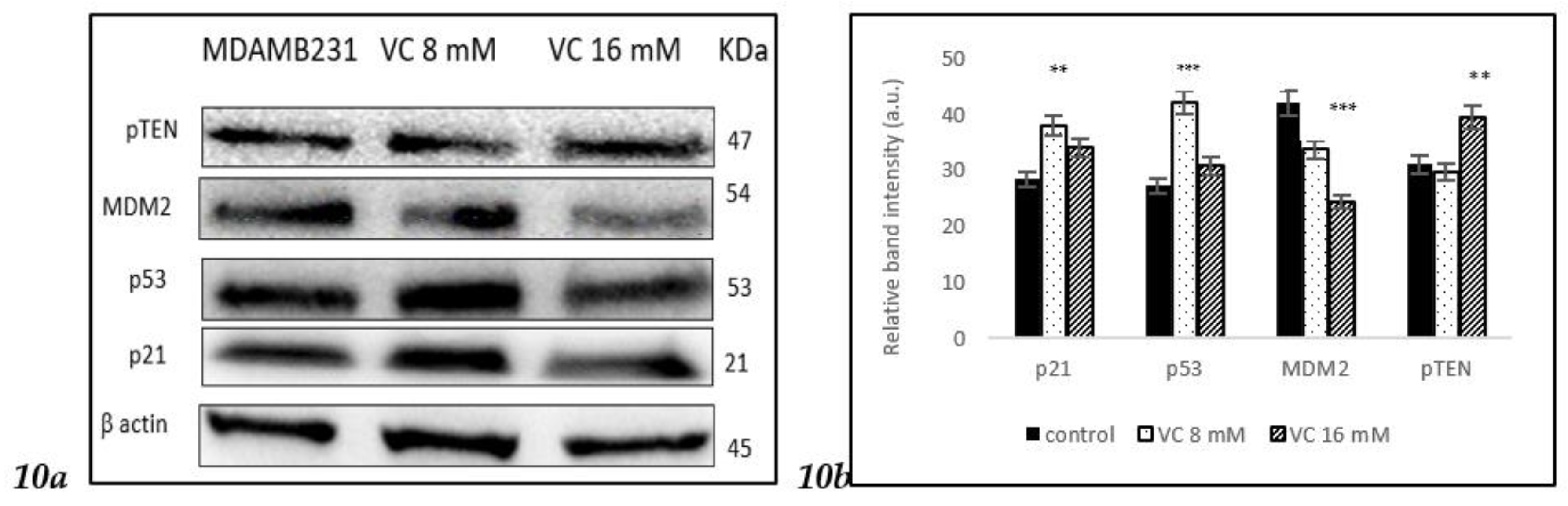 Preprints 121239 g010