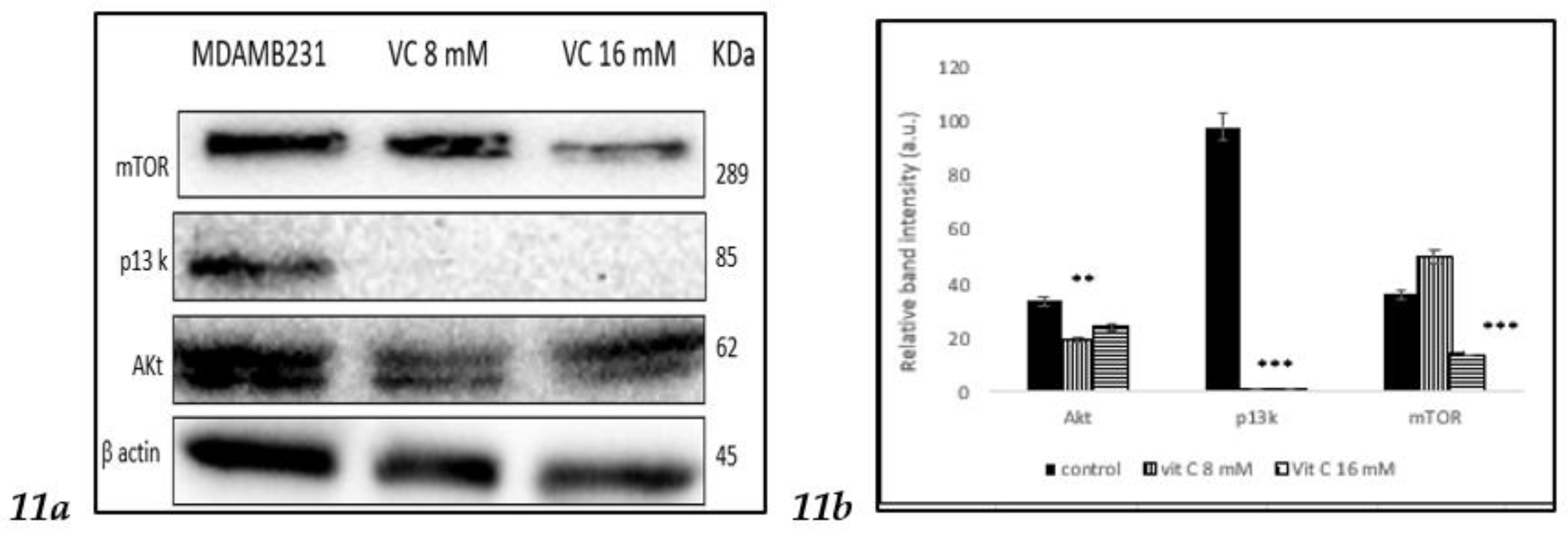 Preprints 121239 g011