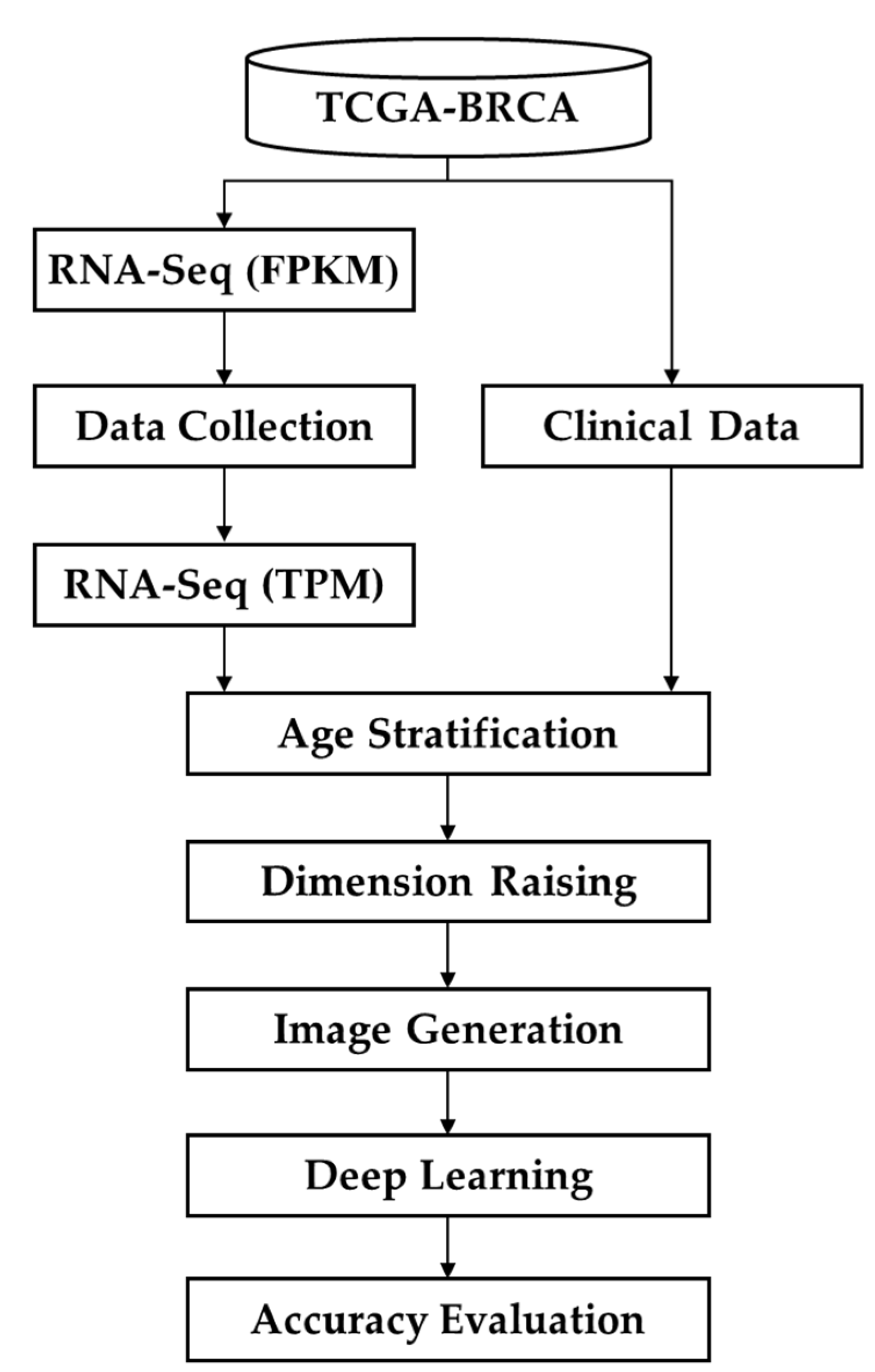 Preprints 74824 g001