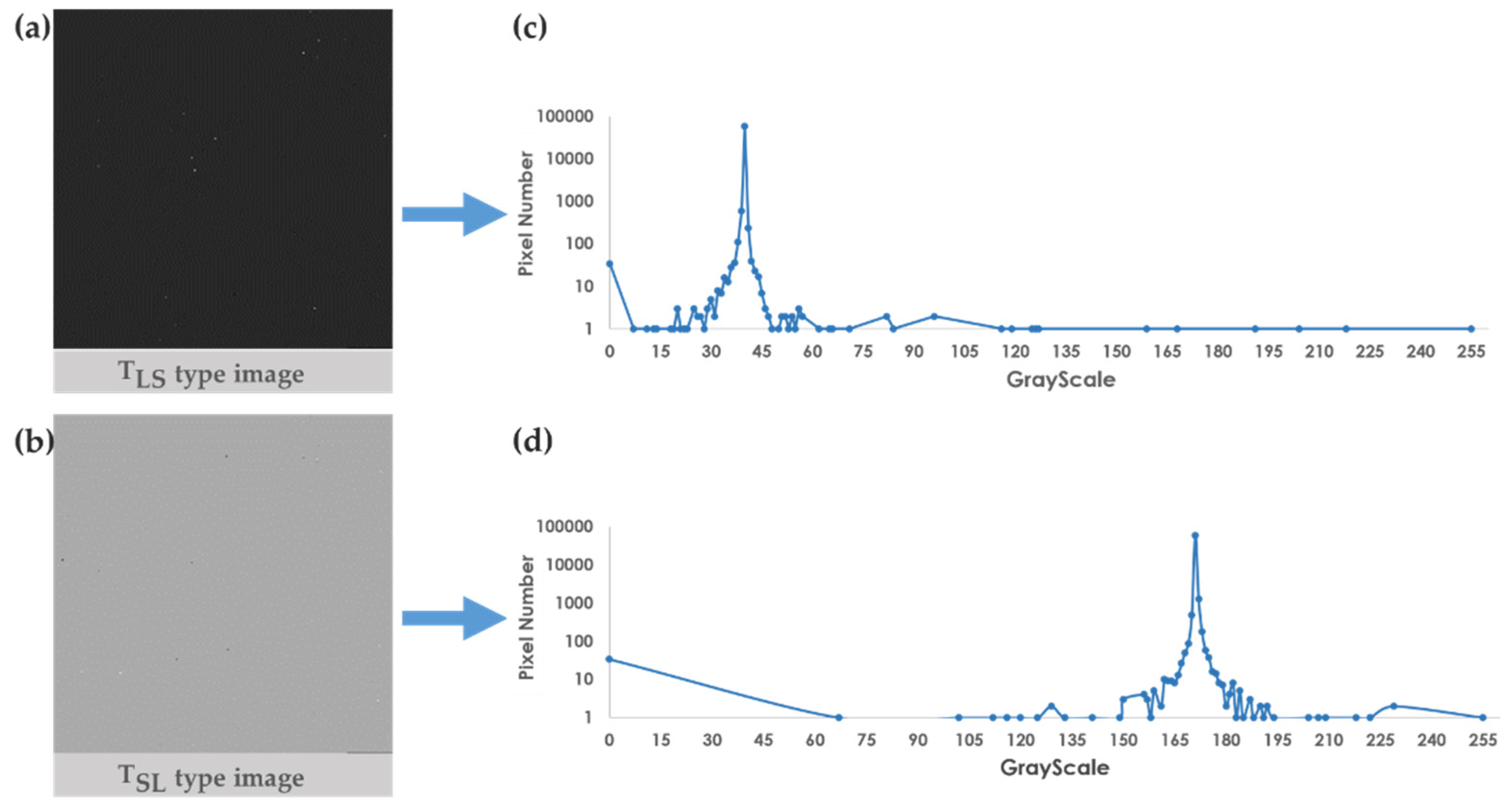 Preprints 74824 g005