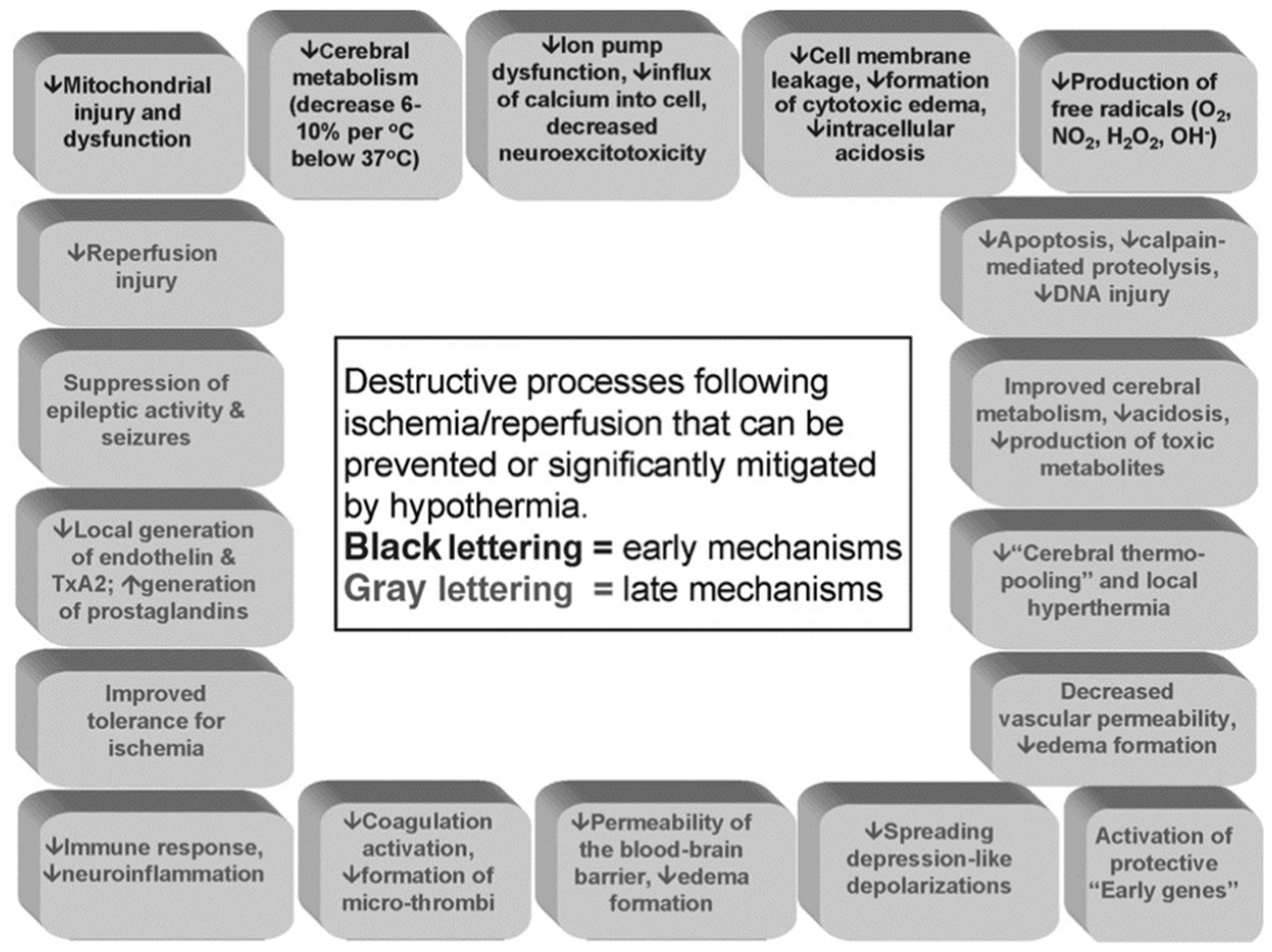 Preprints 104071 g001