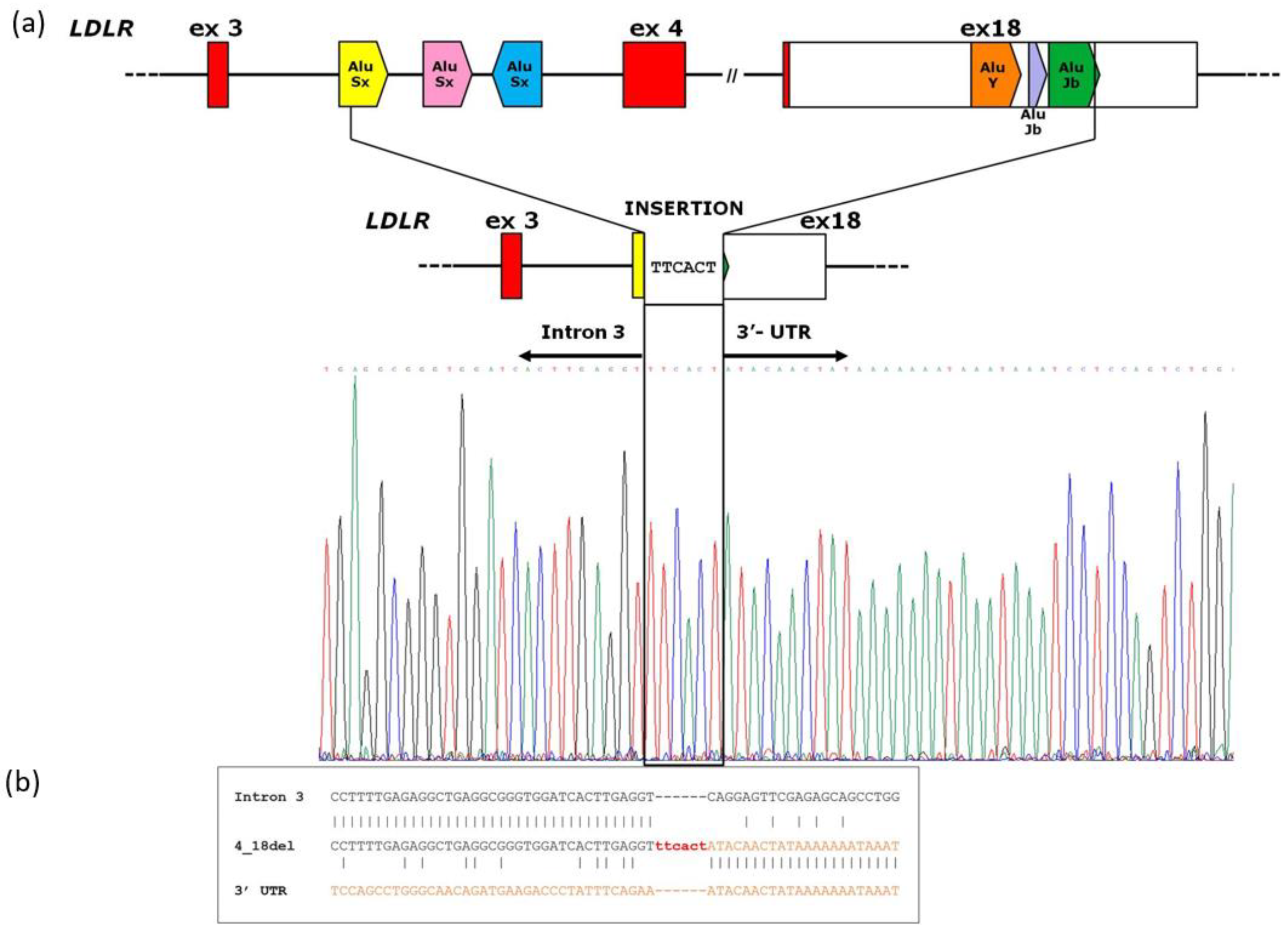 Preprints 74900 g003