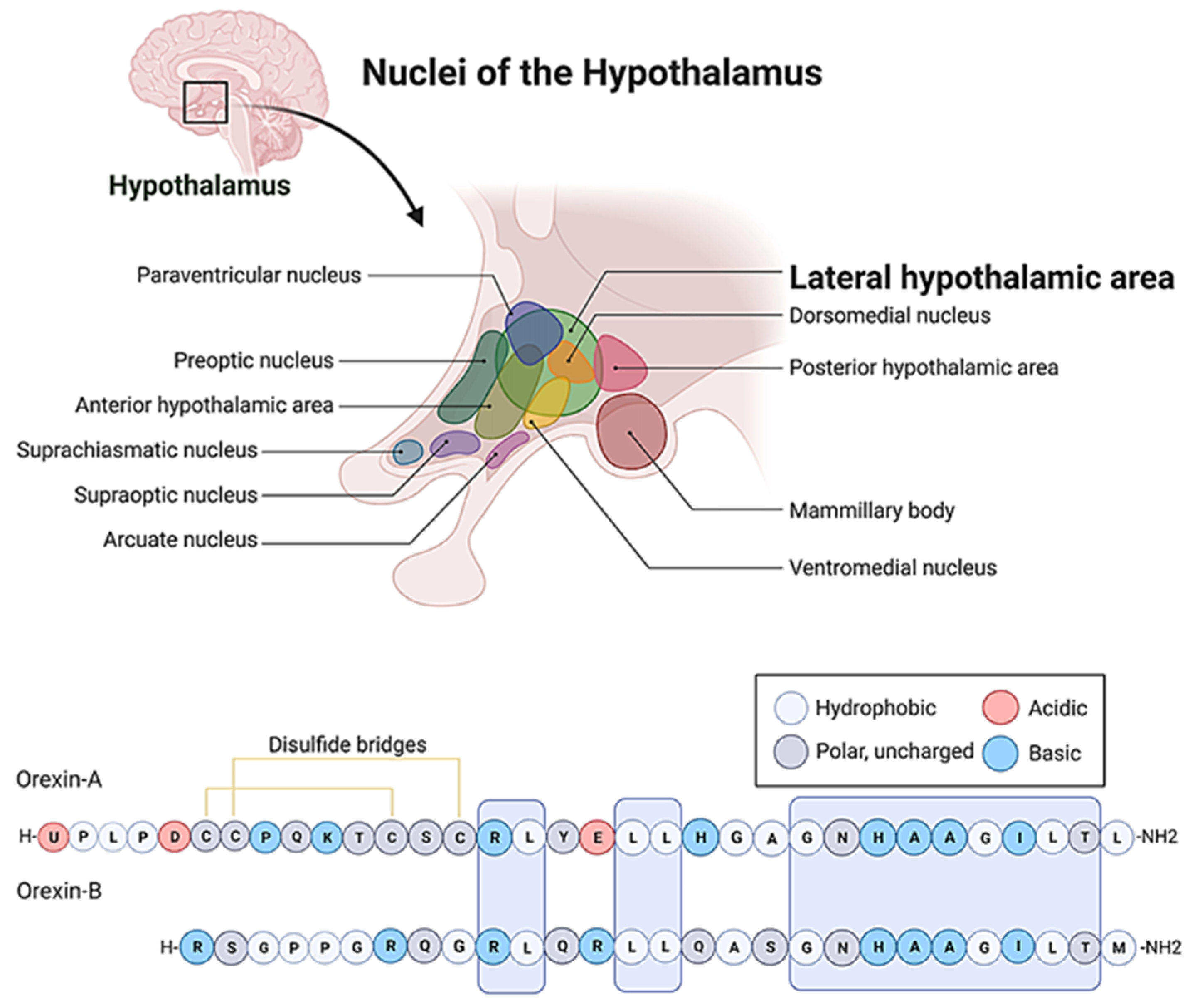 Preprints 96748 g001