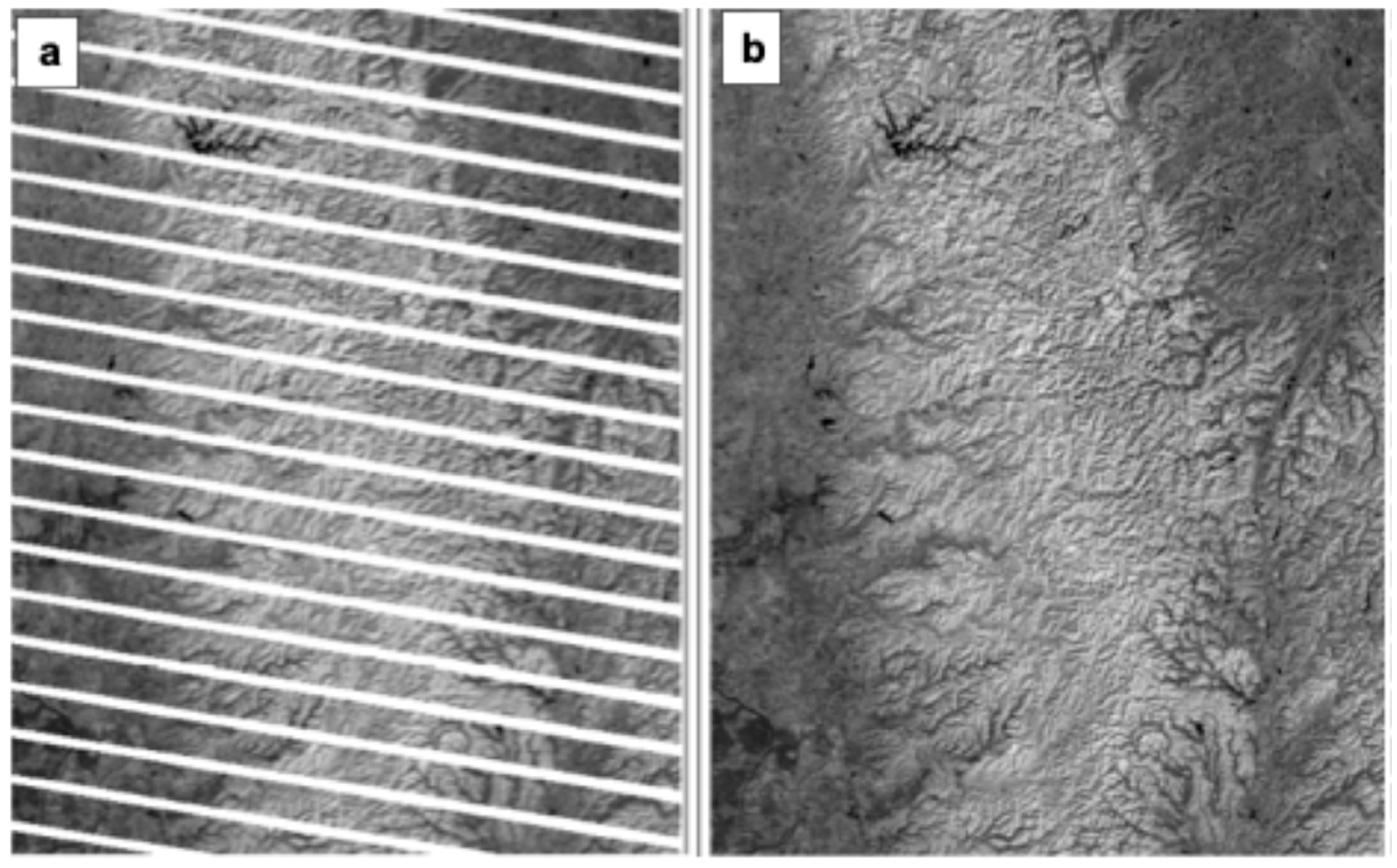 Preprints 116045 g002