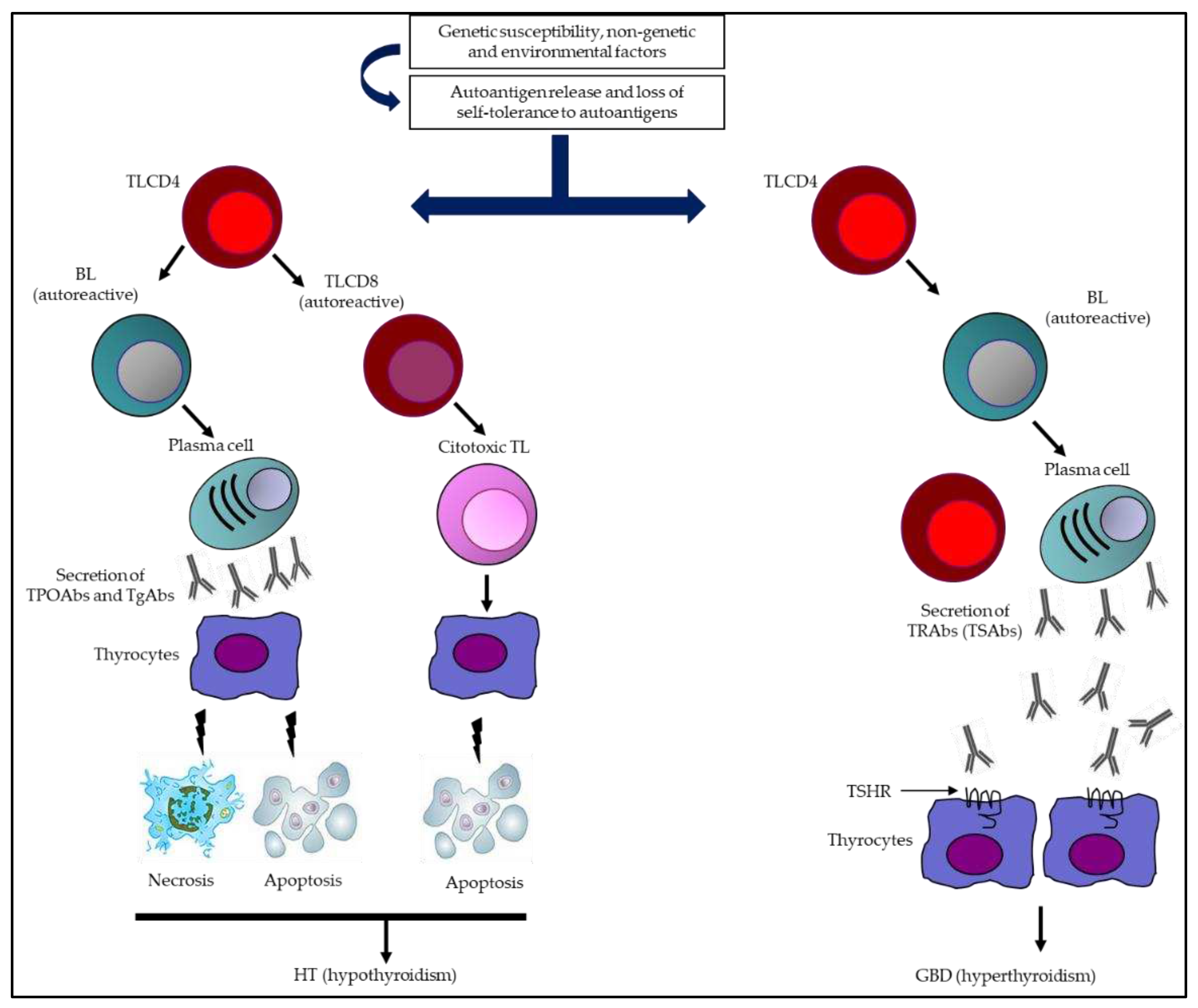 Preprints 77359 g001