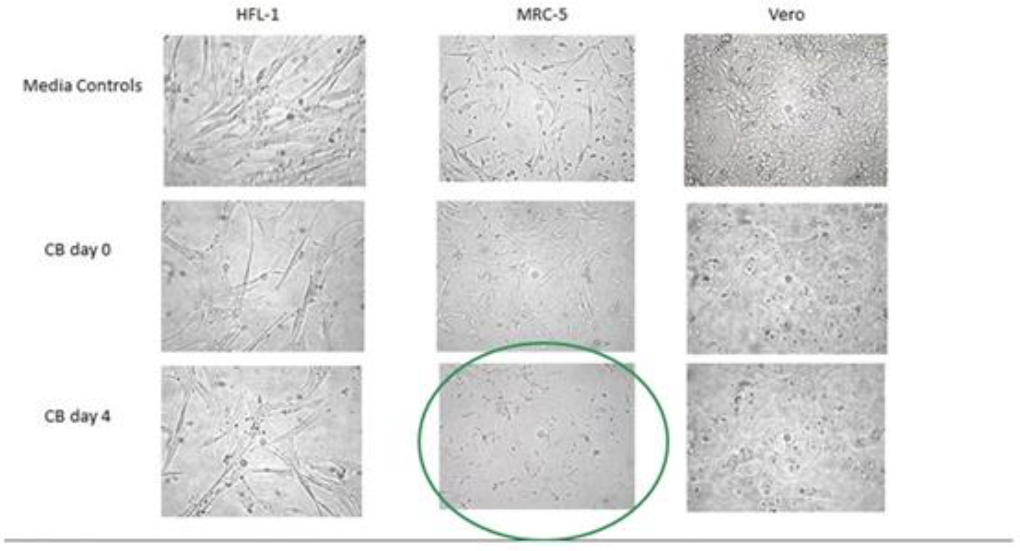 Preprints 115456 g006