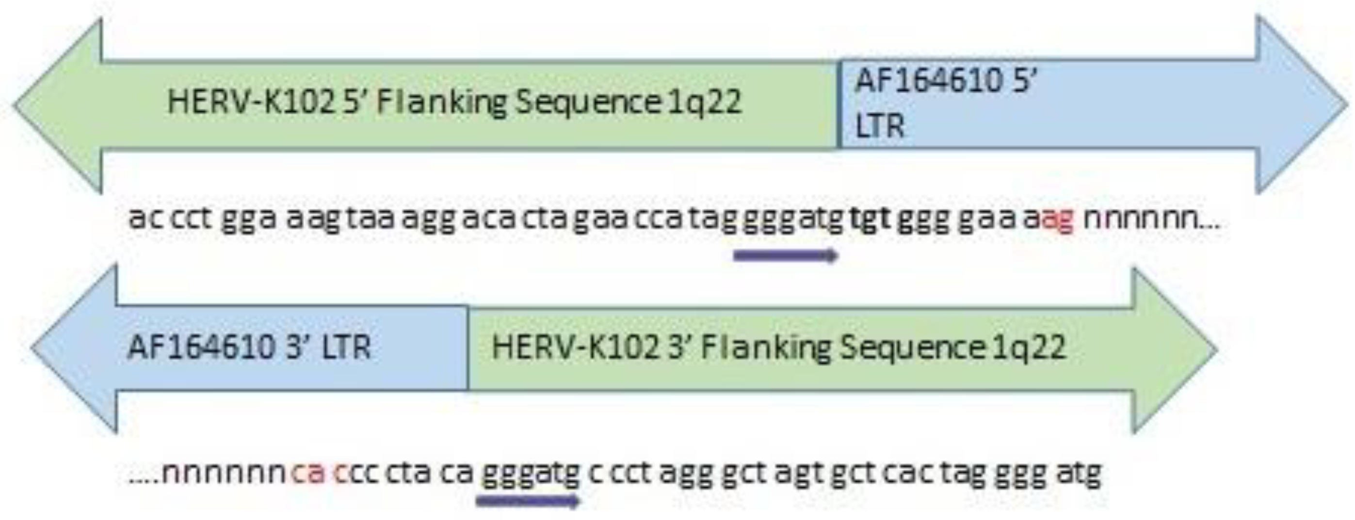 Preprints 115456 g008