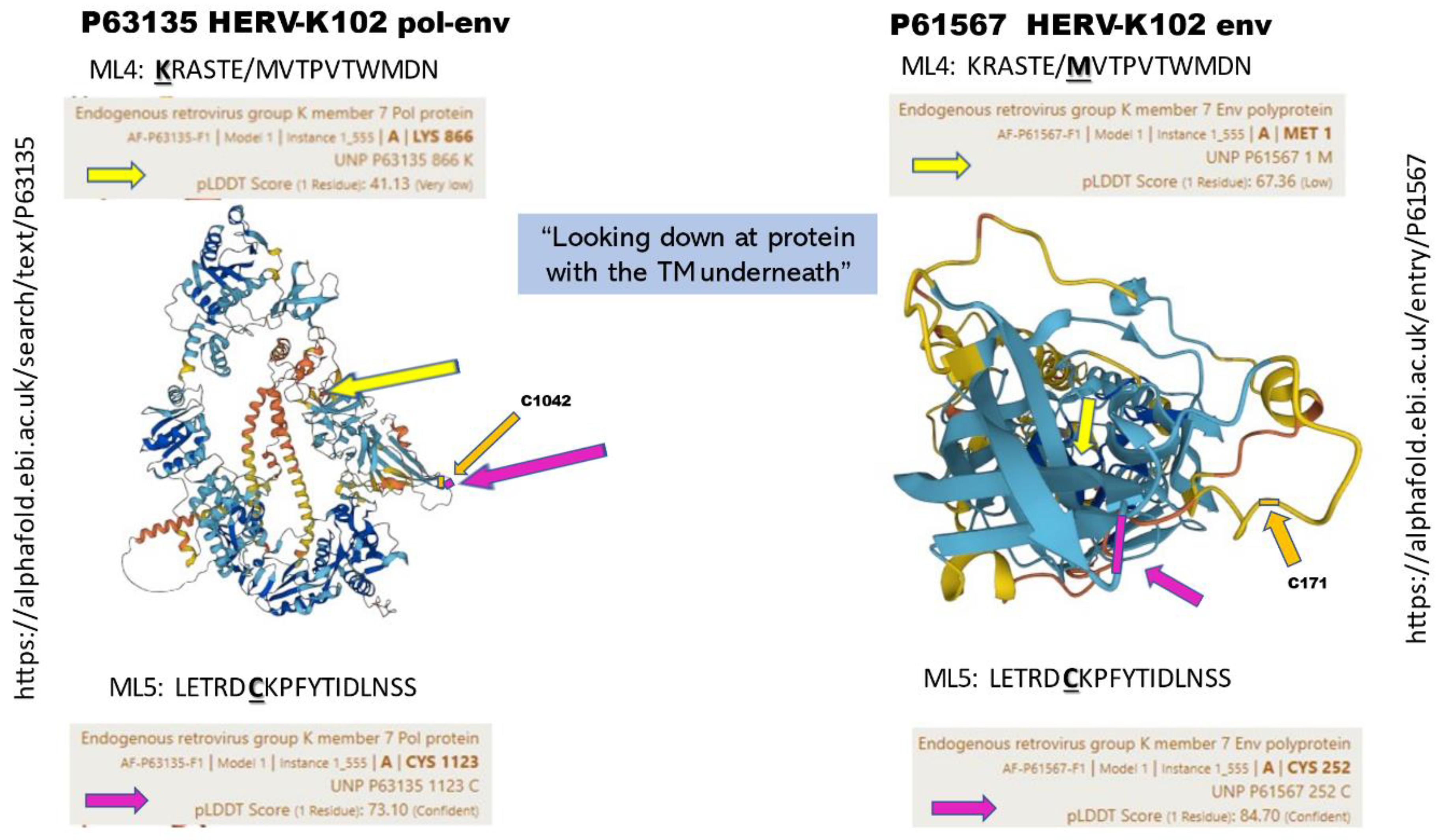 Preprints 115456 g009