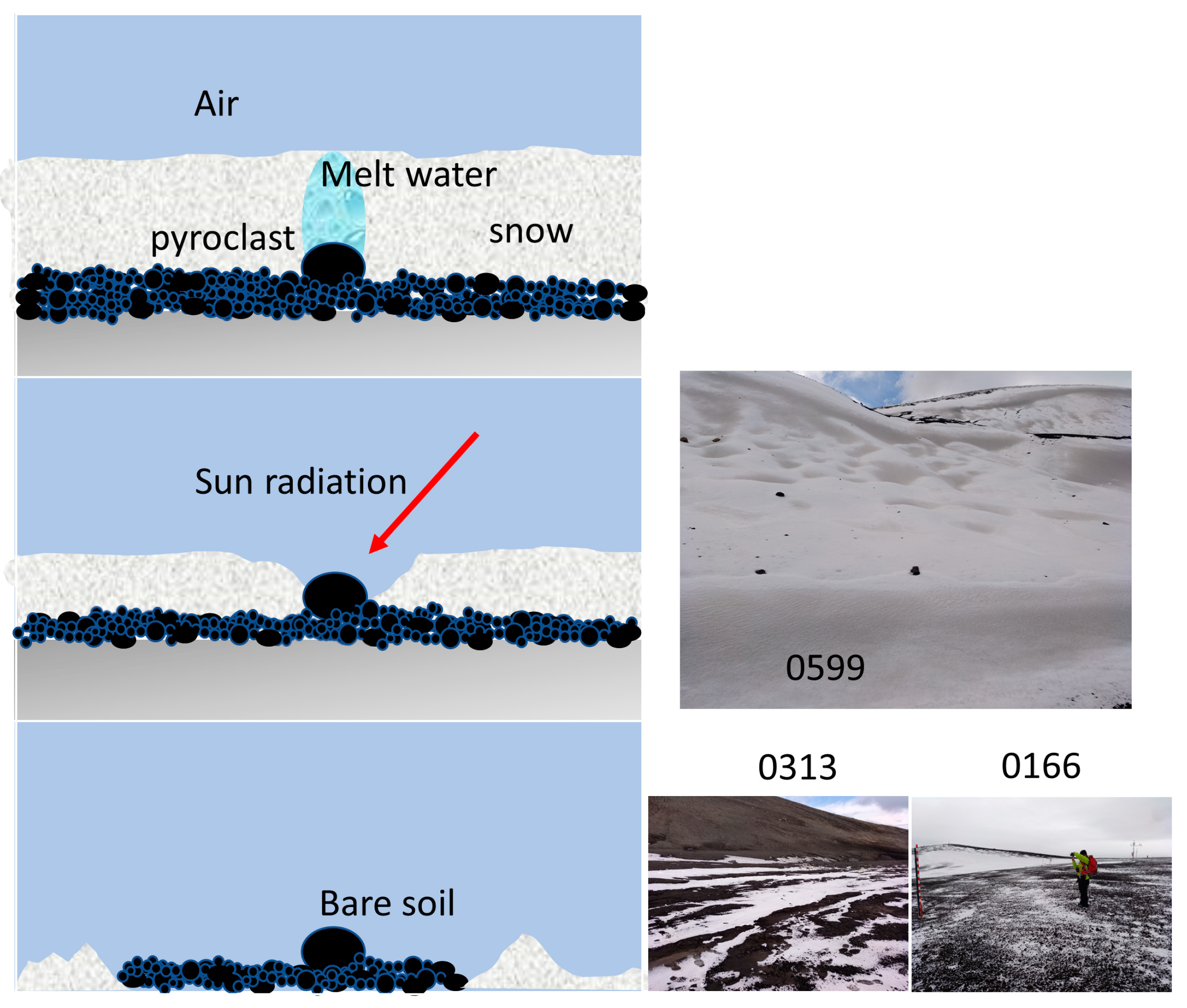 Preprints 96504 g012