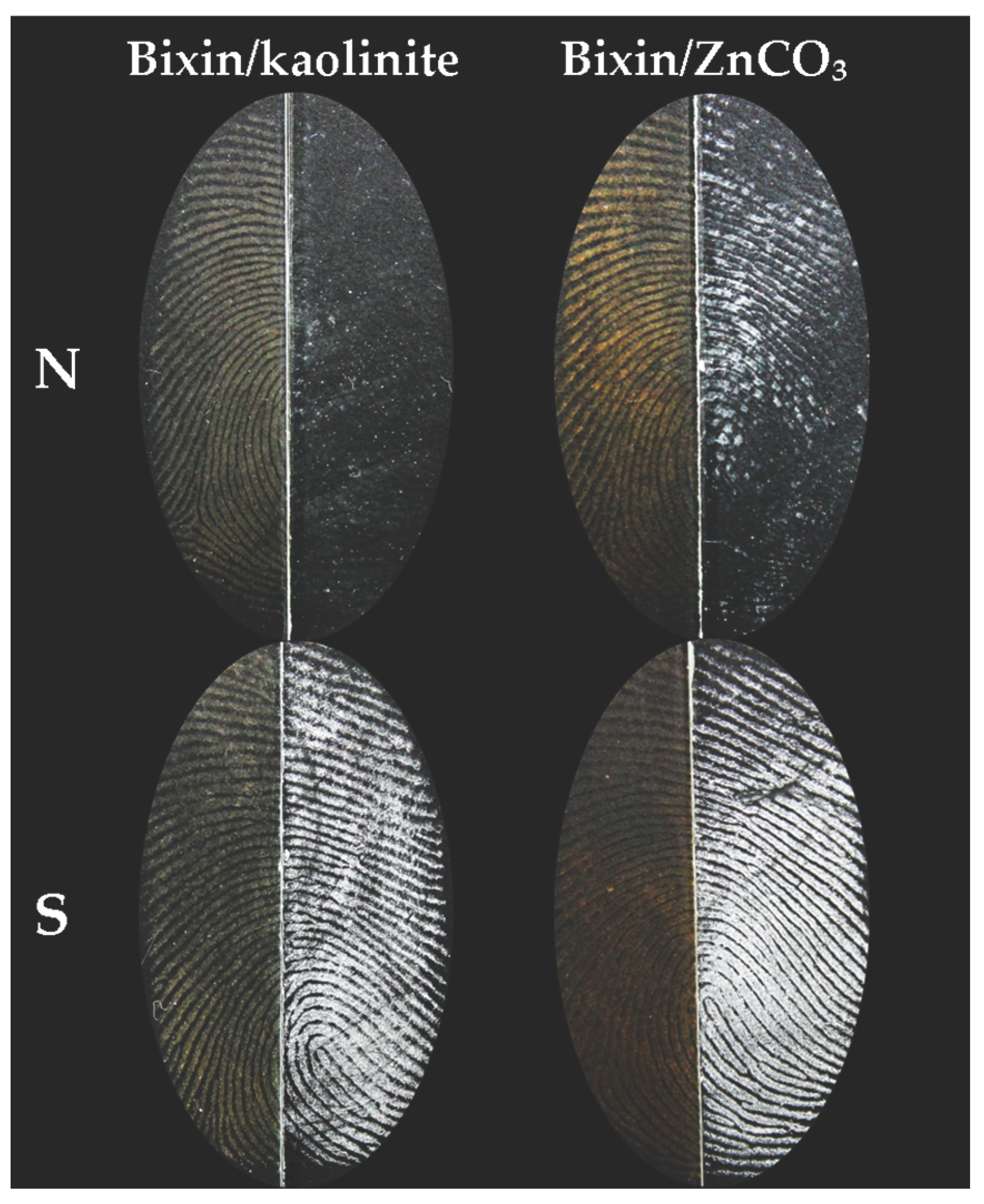 Preprints 100444 g005