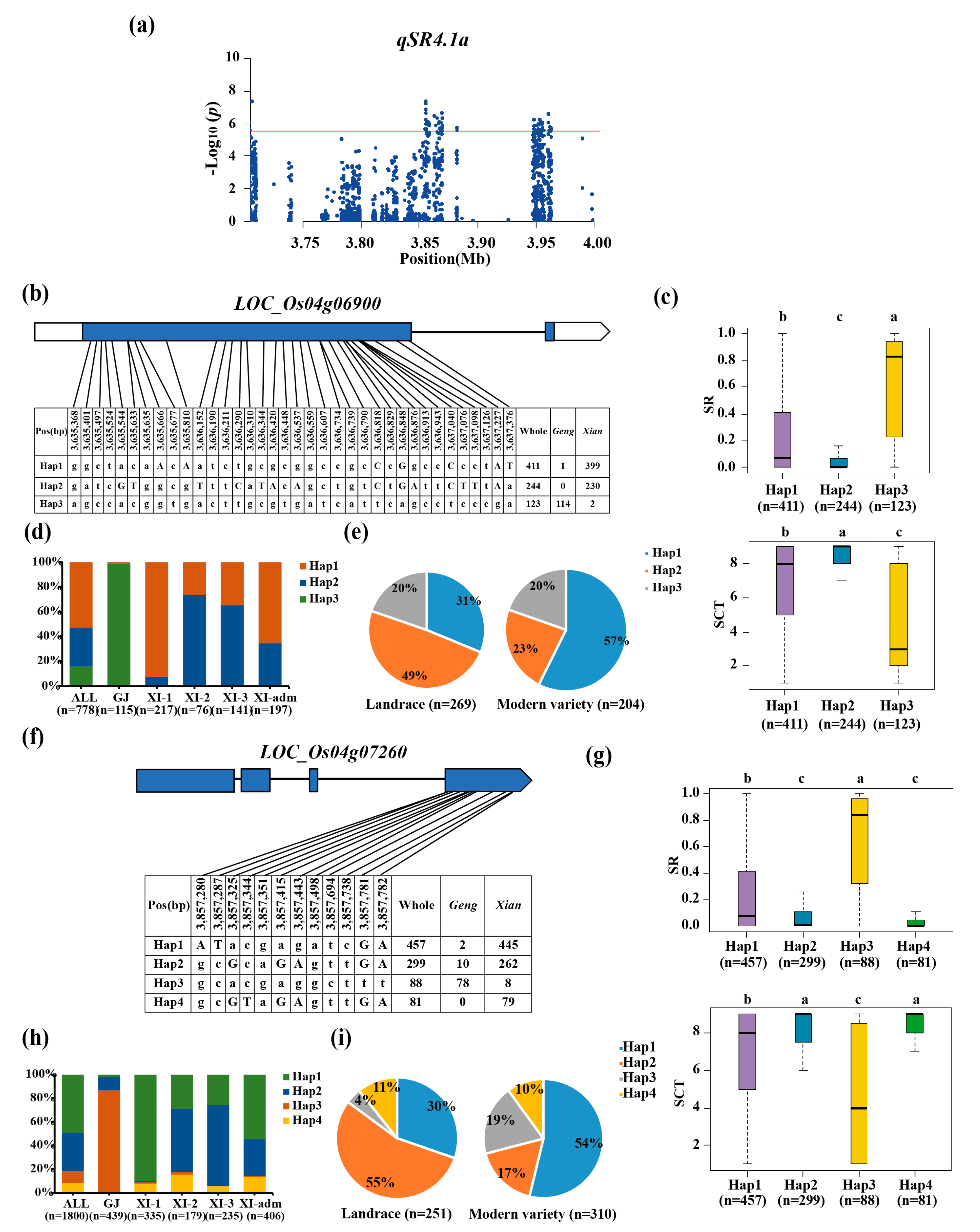 Preprints 117038 g003