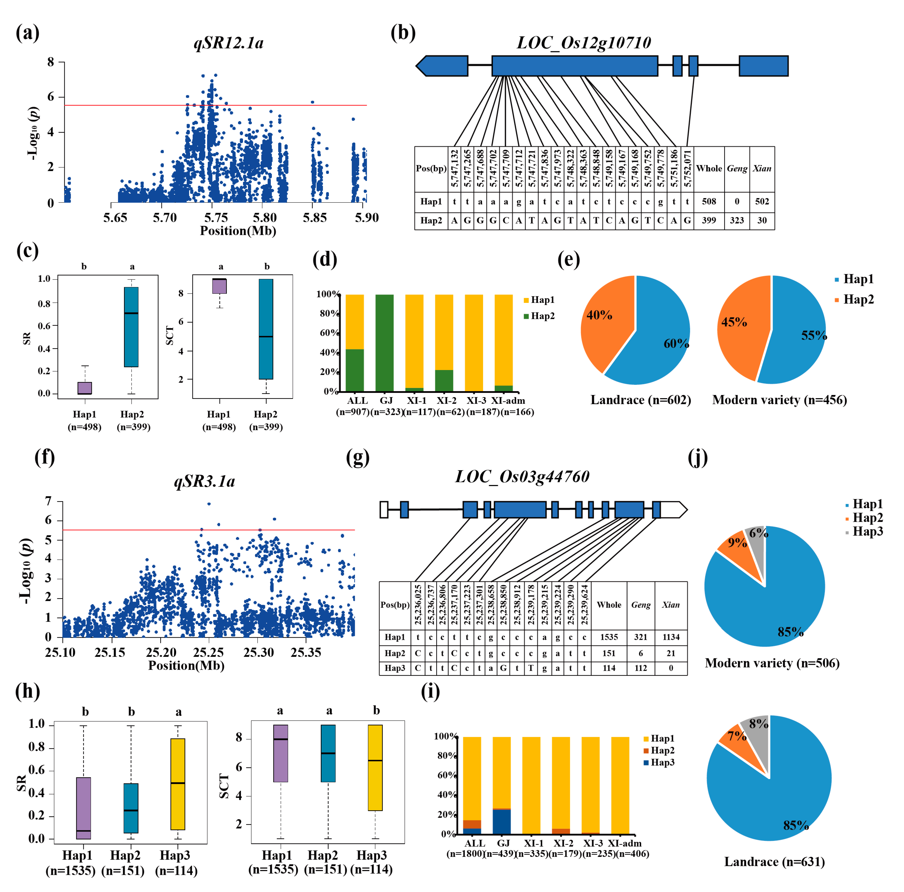 Preprints 117038 g004