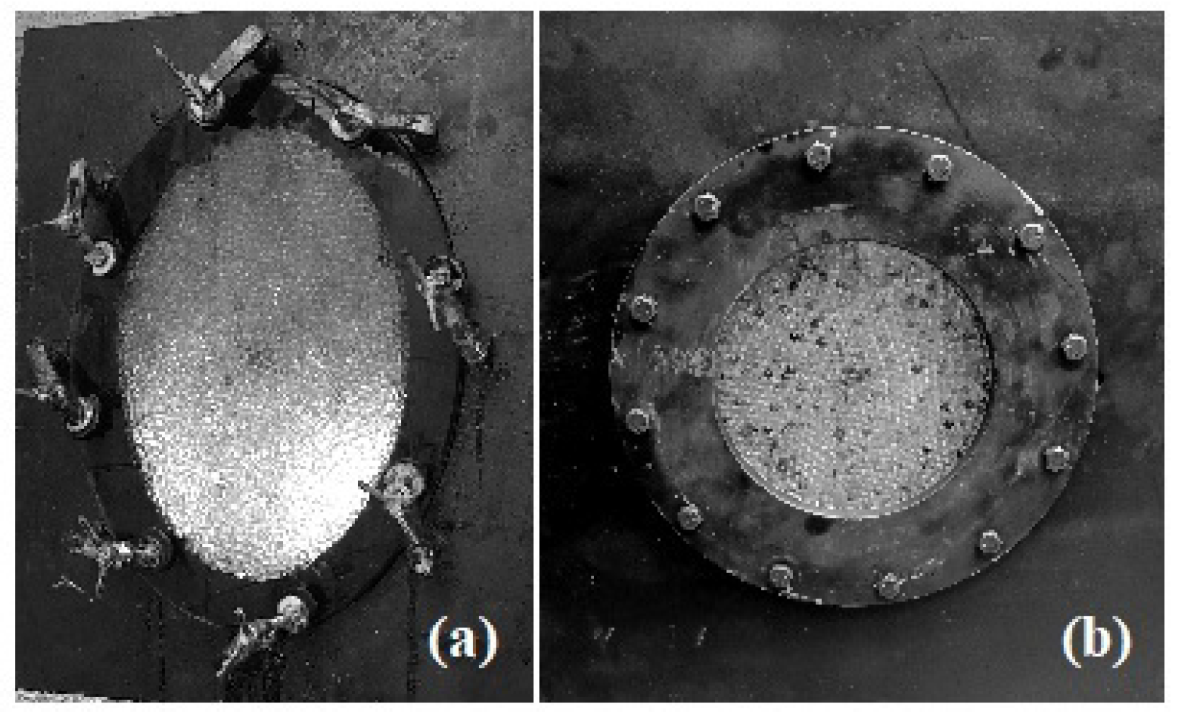 Preprints 73216 g003