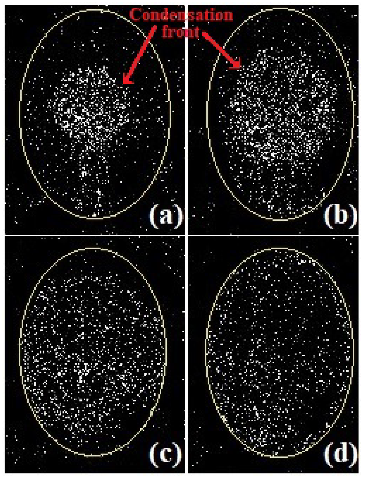 Preprints 73216 g004