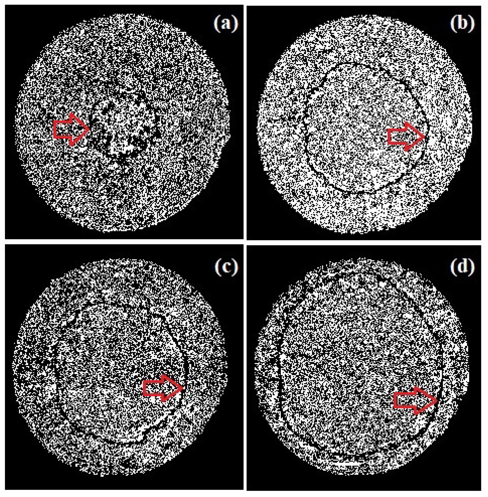 Preprints 73216 g008