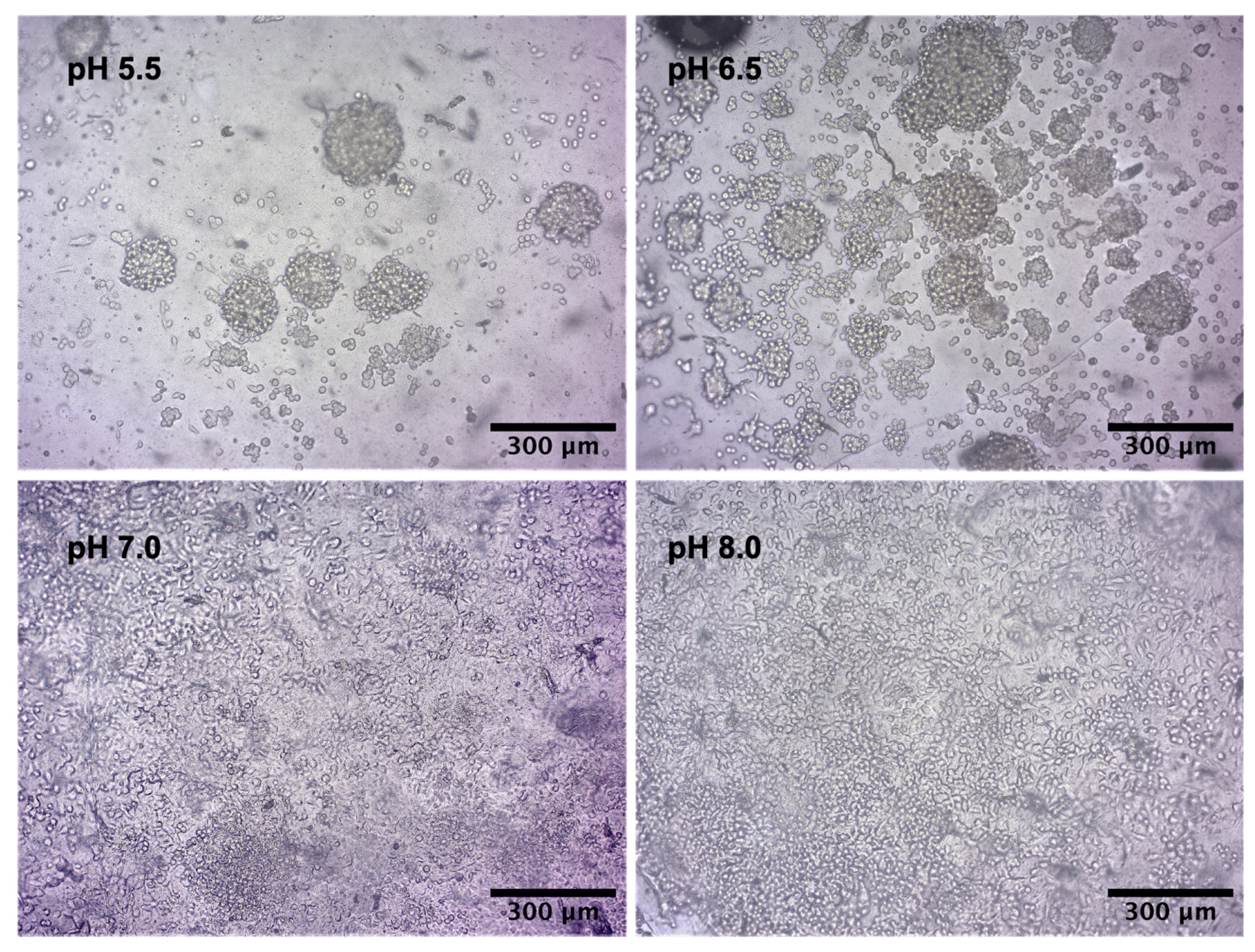 Preprints 85231 g005