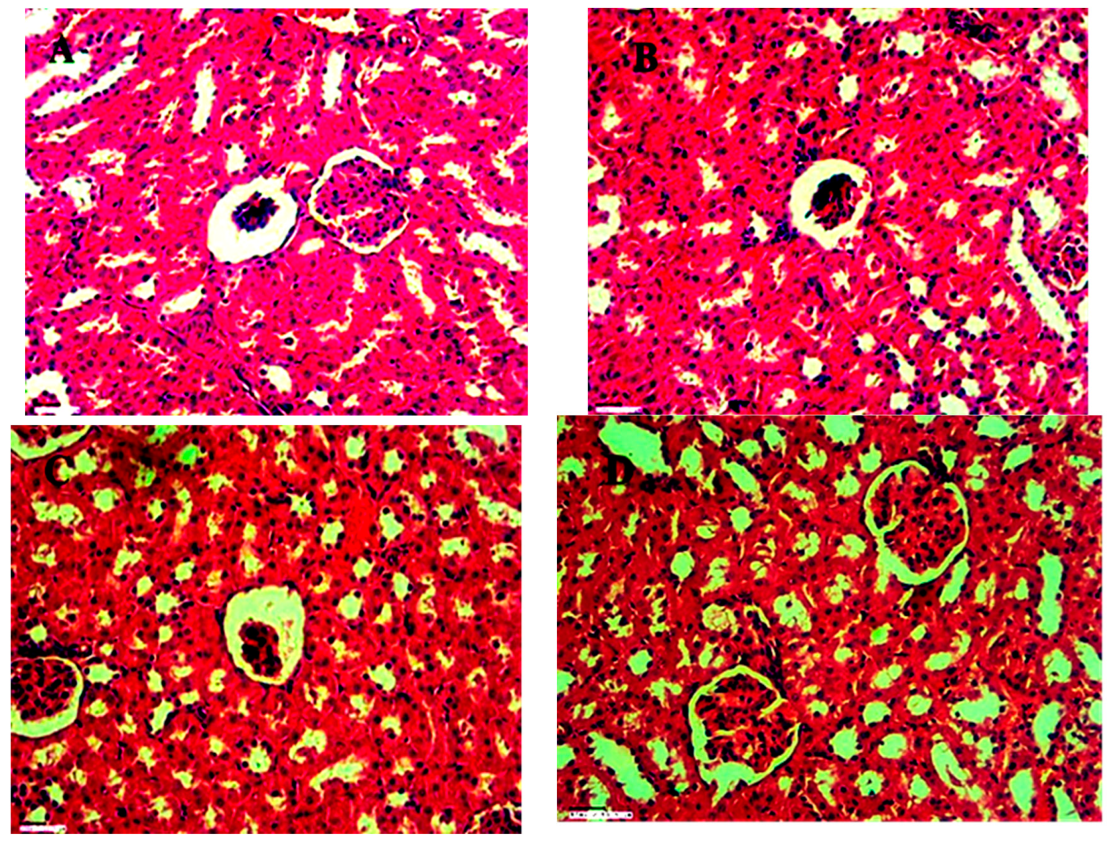 Preprints 102231 g017