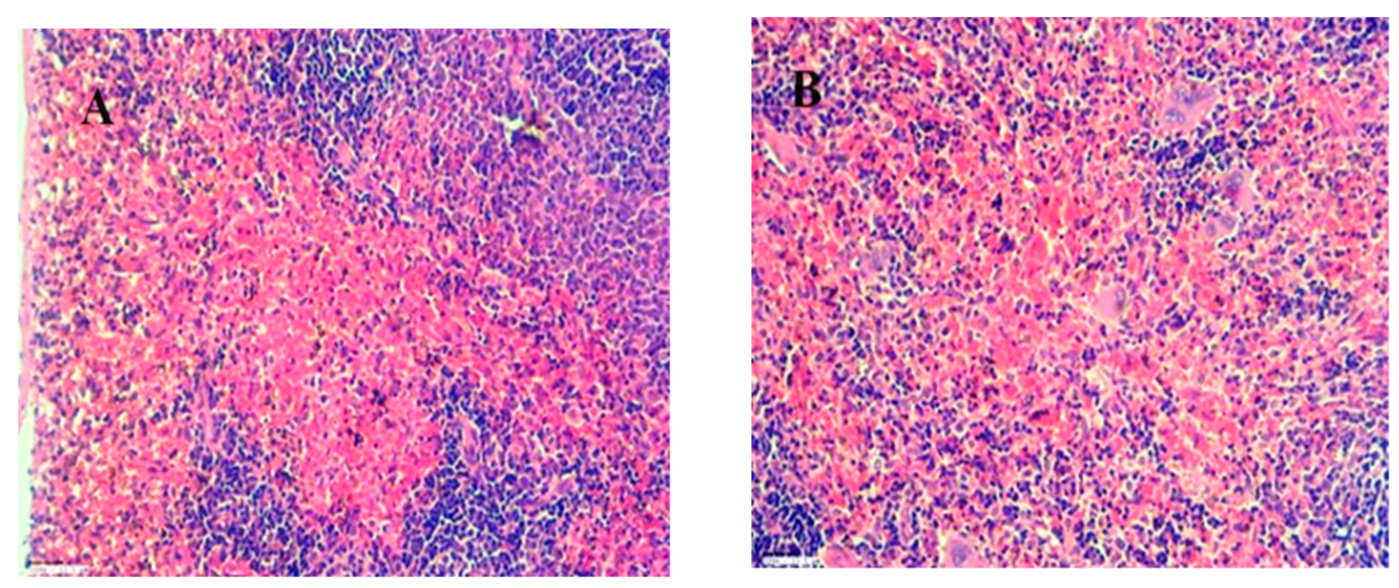 Preprints 102231 g018a