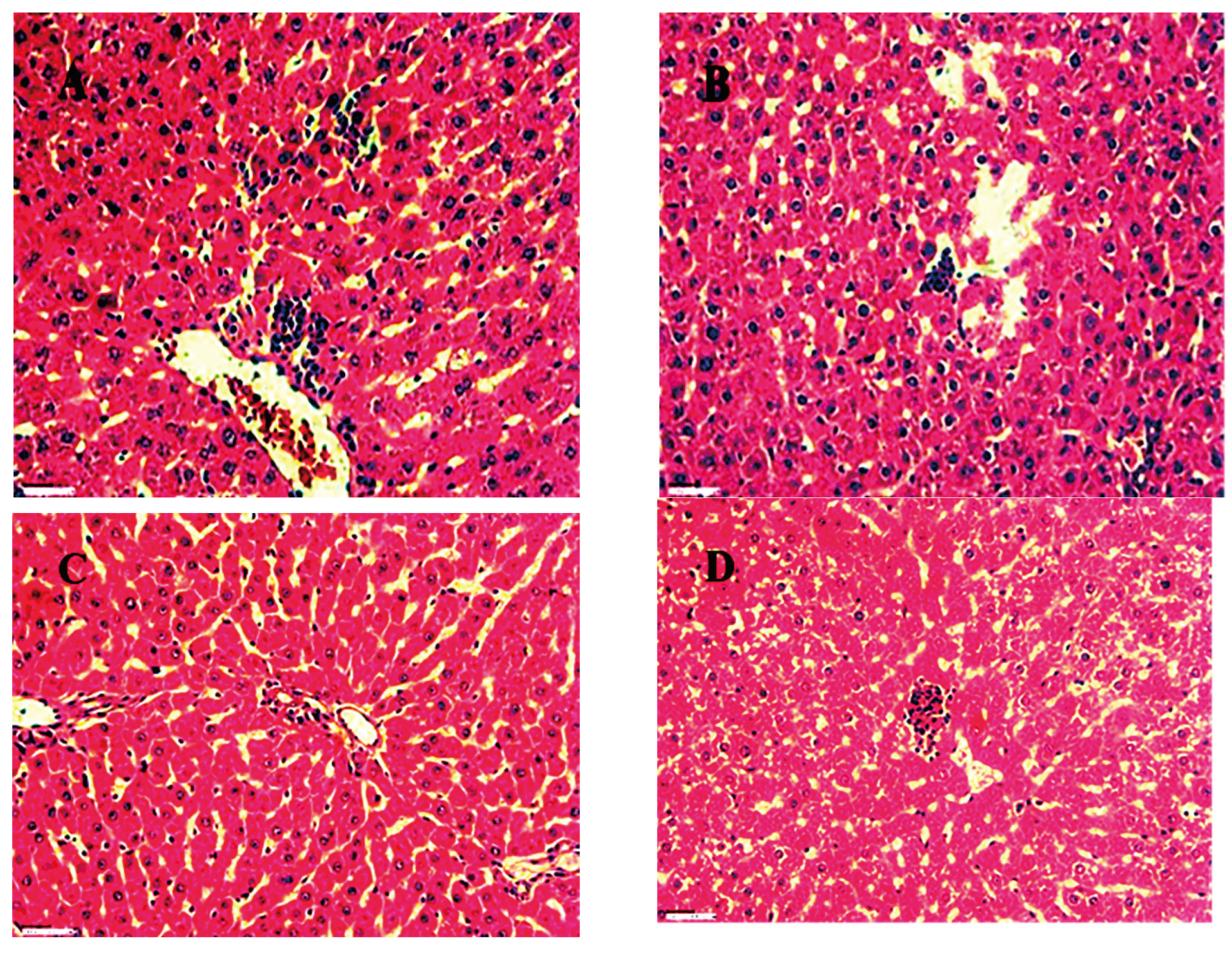 Preprints 102231 g019