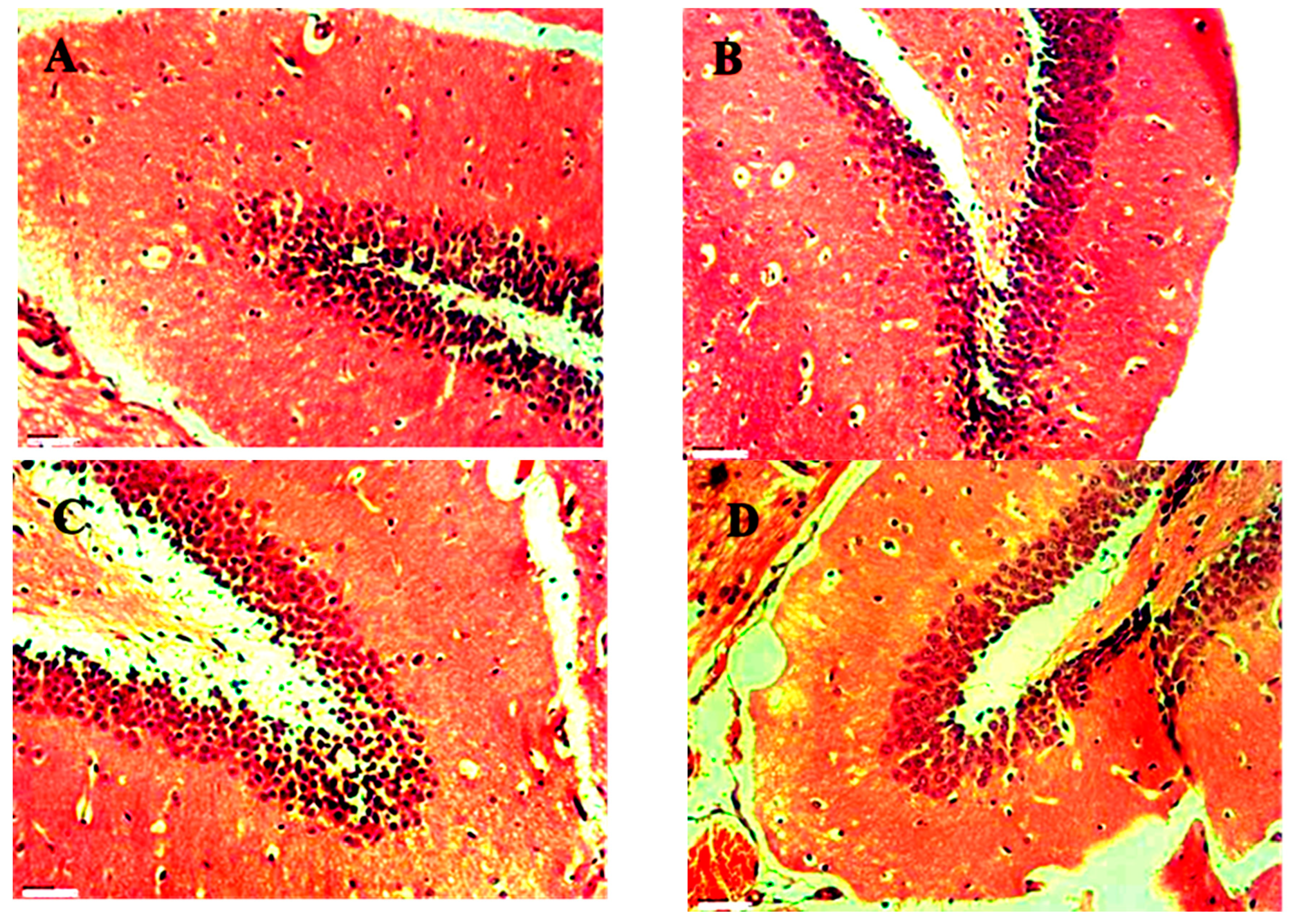 Preprints 102231 g020