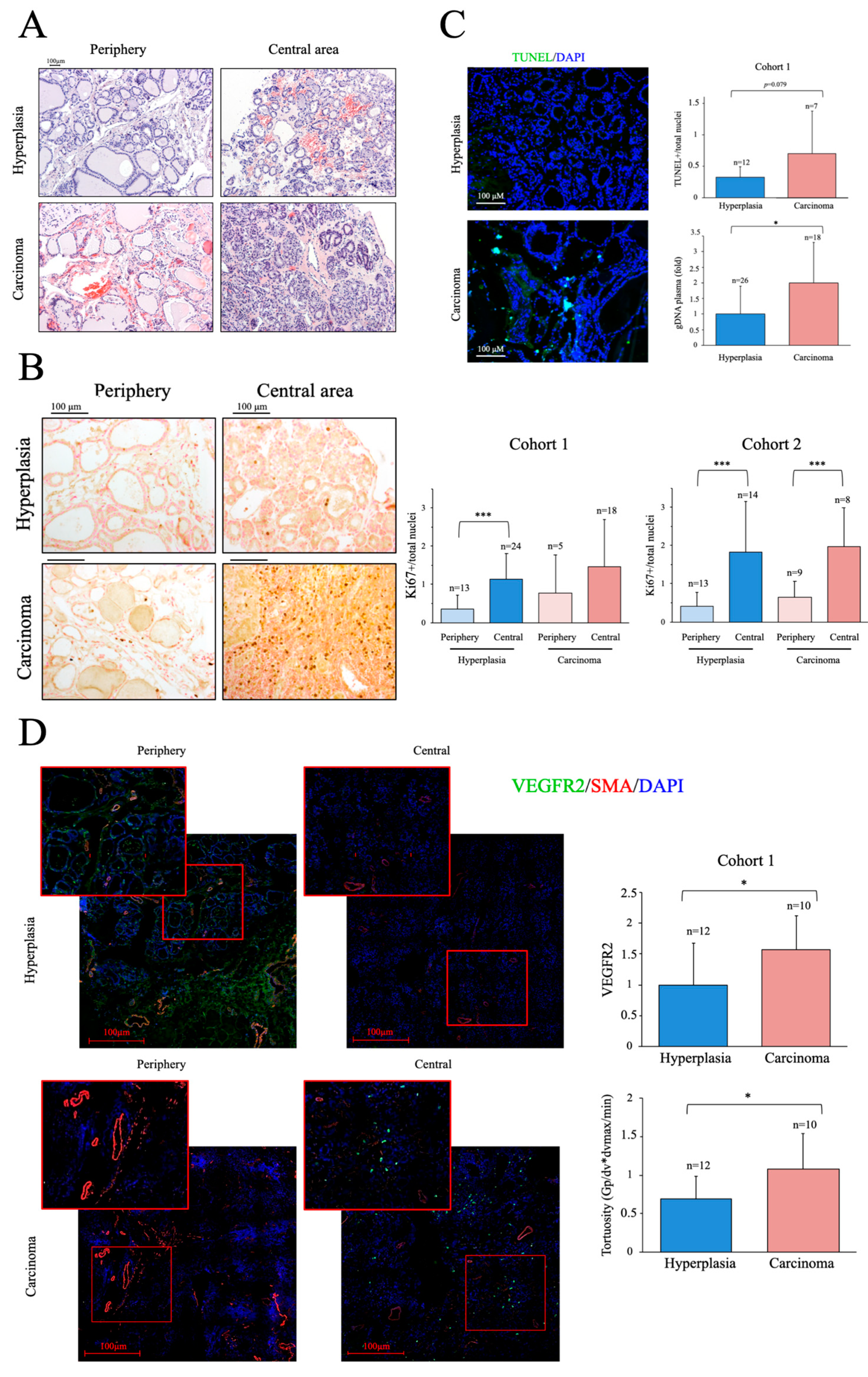 Preprints 68401 g001