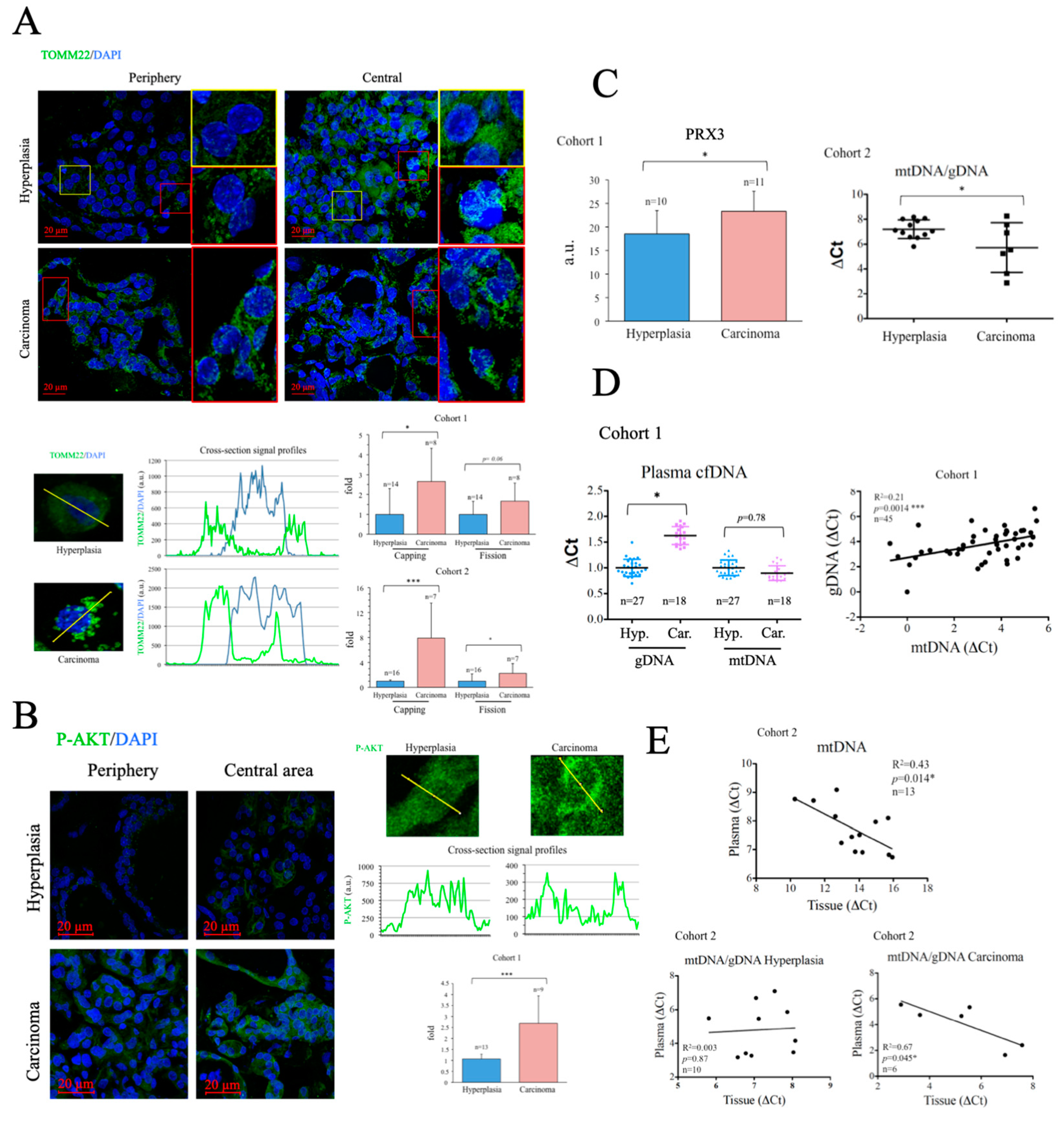 Preprints 68401 g002