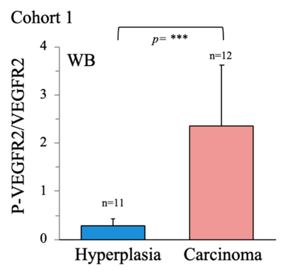 Preprints 68401 g0a1