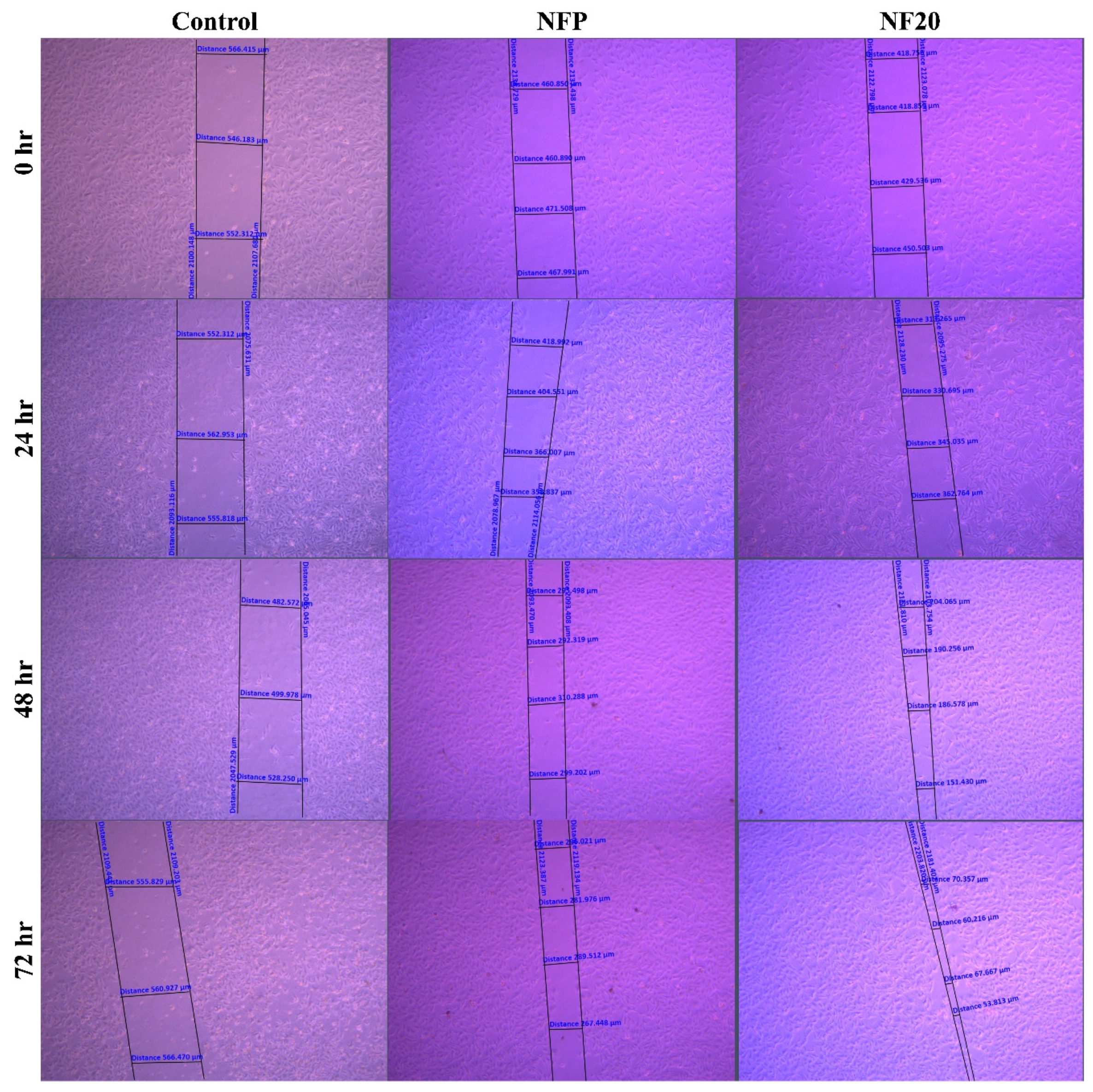 Preprints 121283 g011