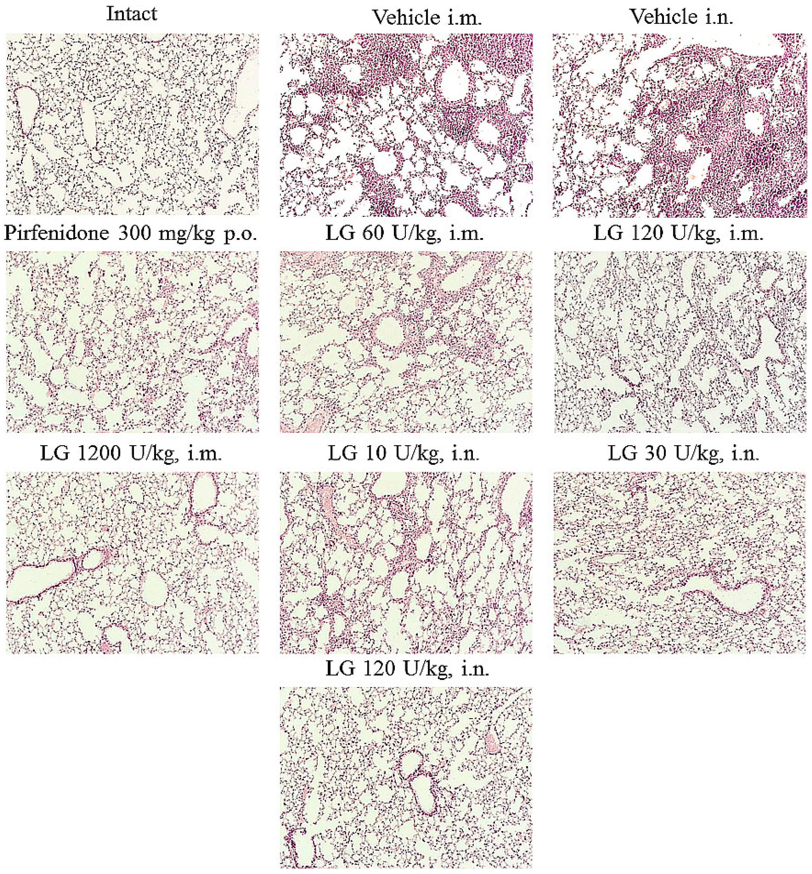 Preprints 80057 g003