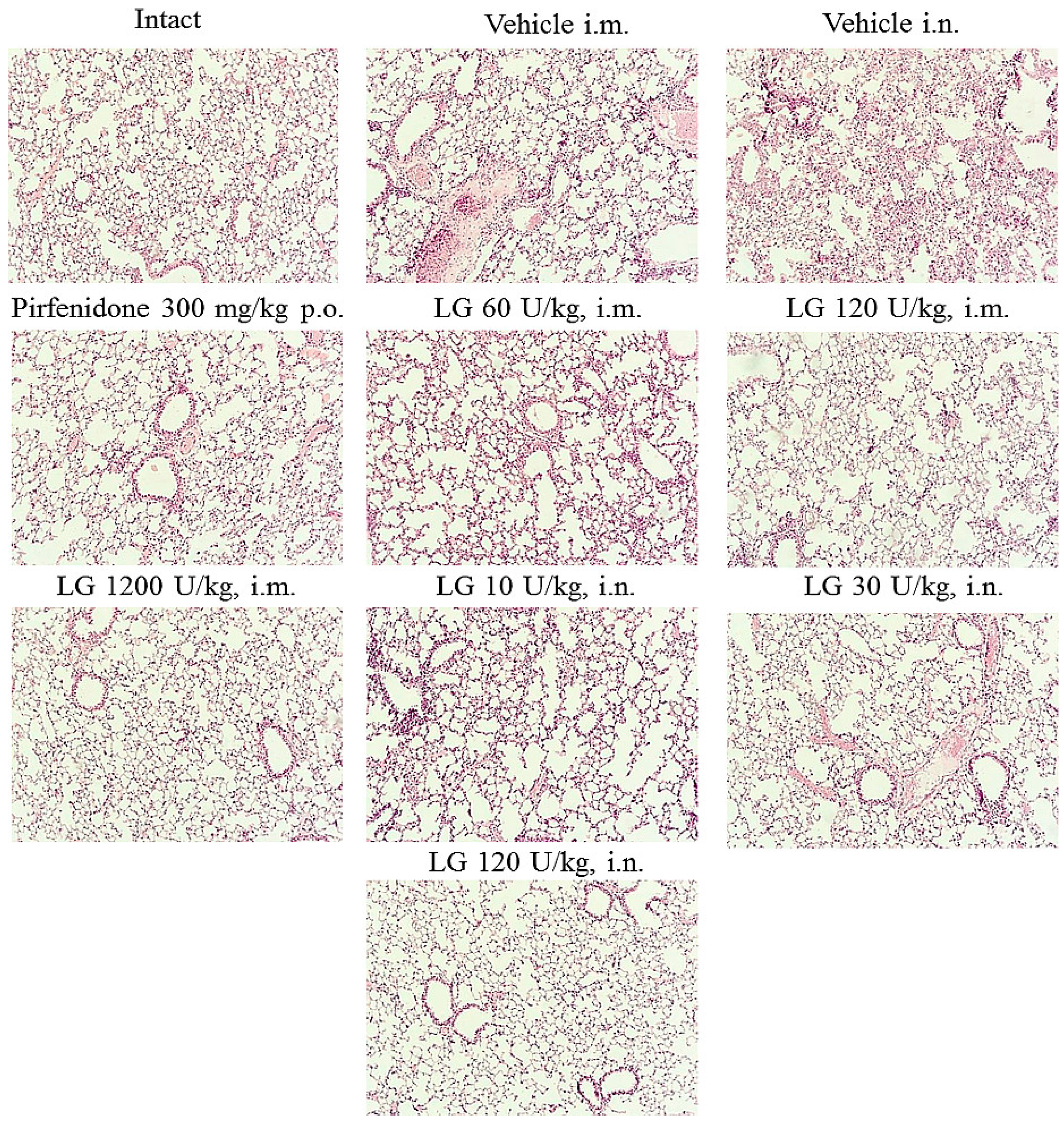 Preprints 80057 g004