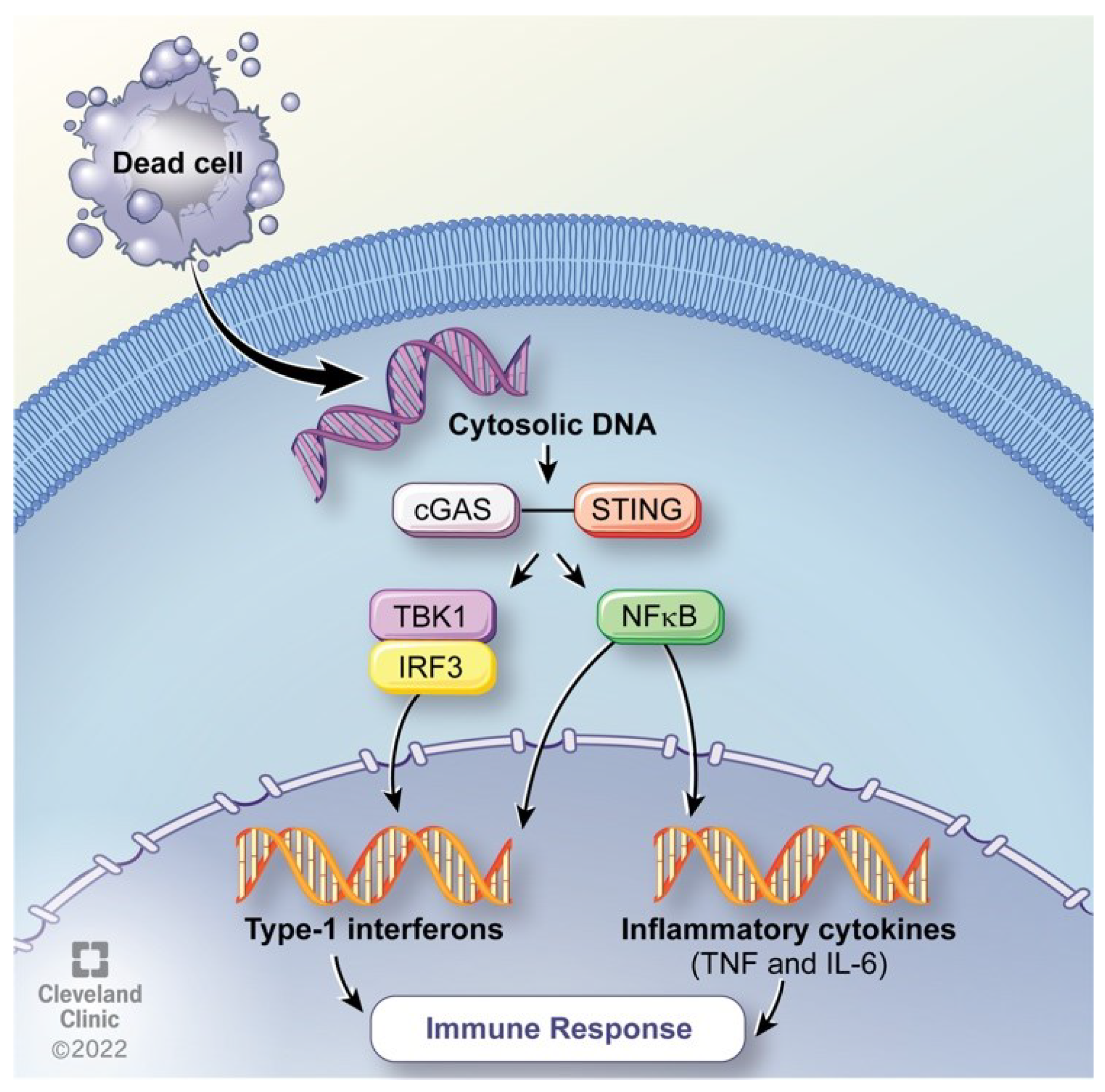 Preprints 67491 g004