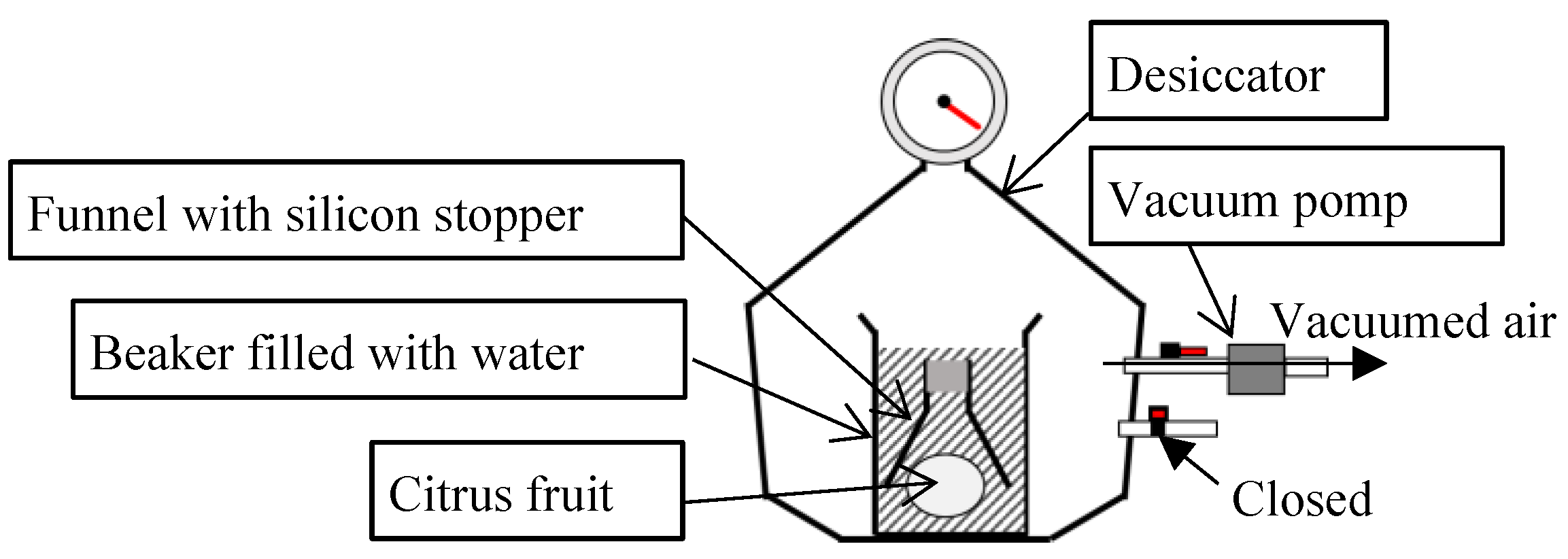 Preprints 118011 g003