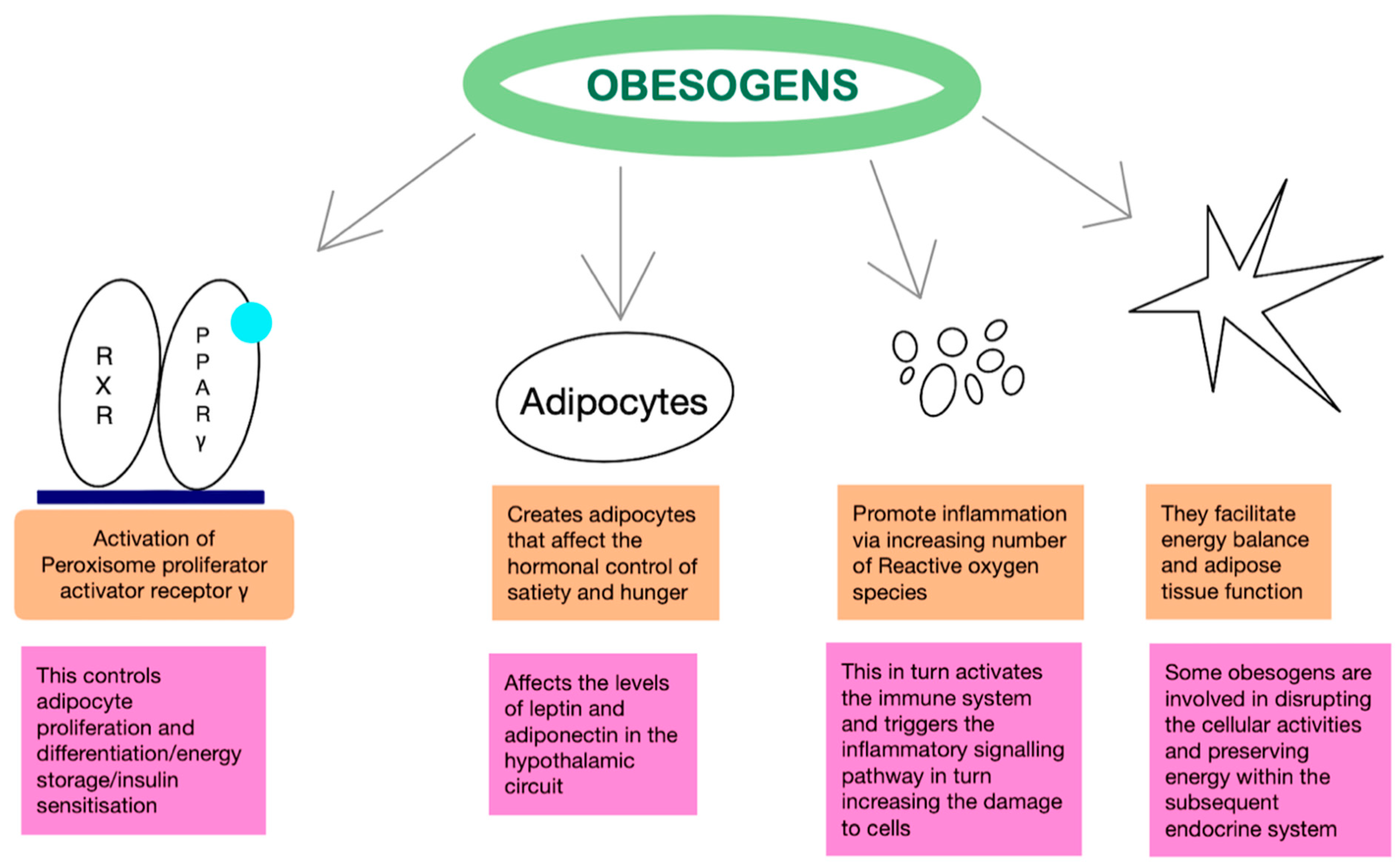 Preprints 103126 g001