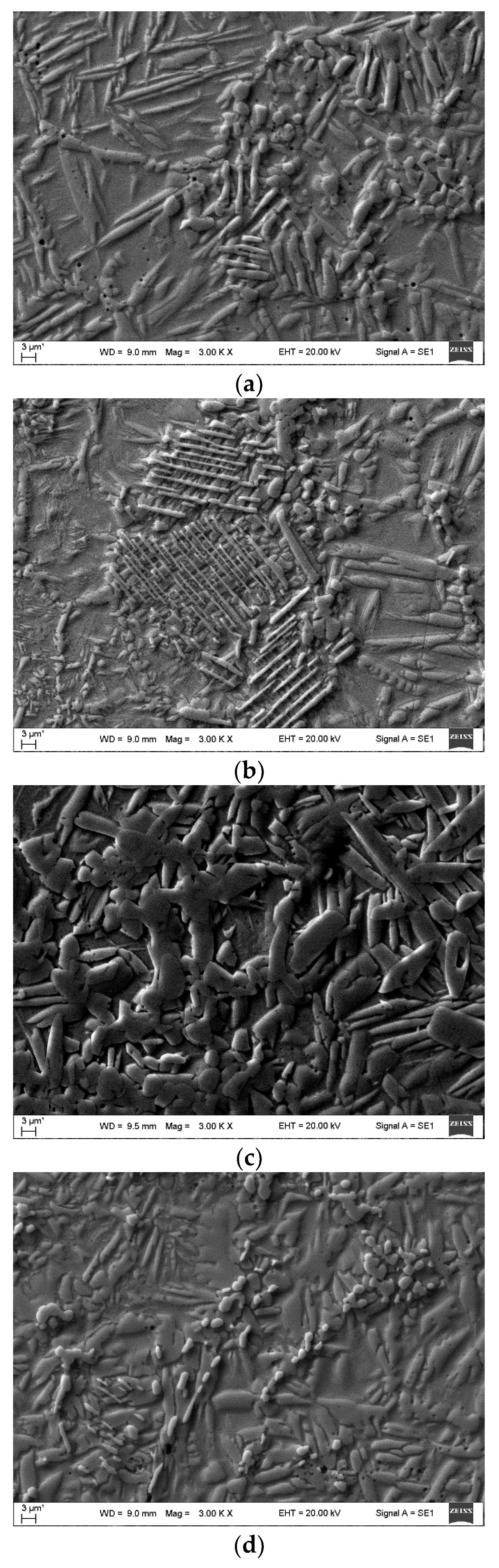 Preprints 91772 g002