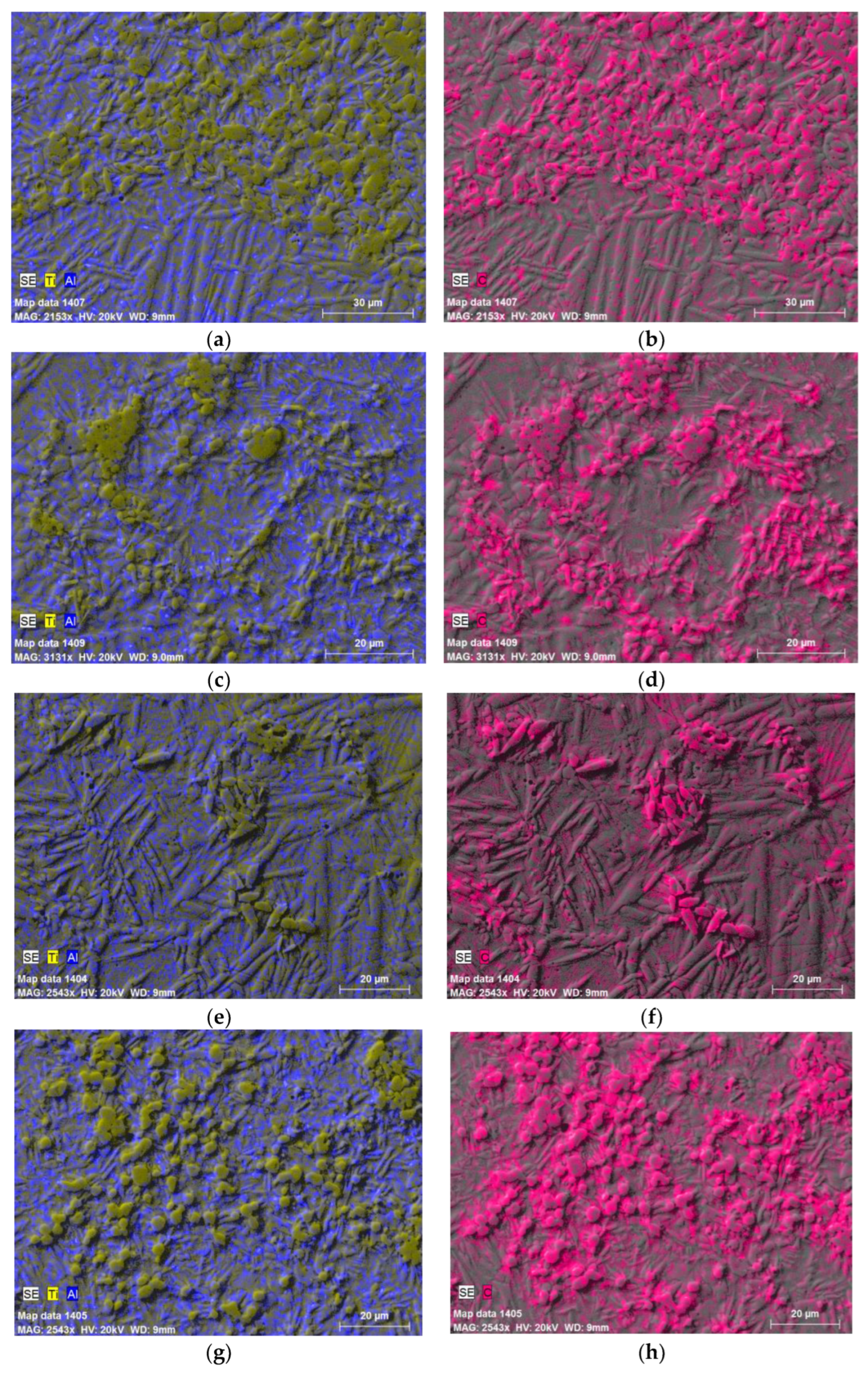 Preprints 91772 g003