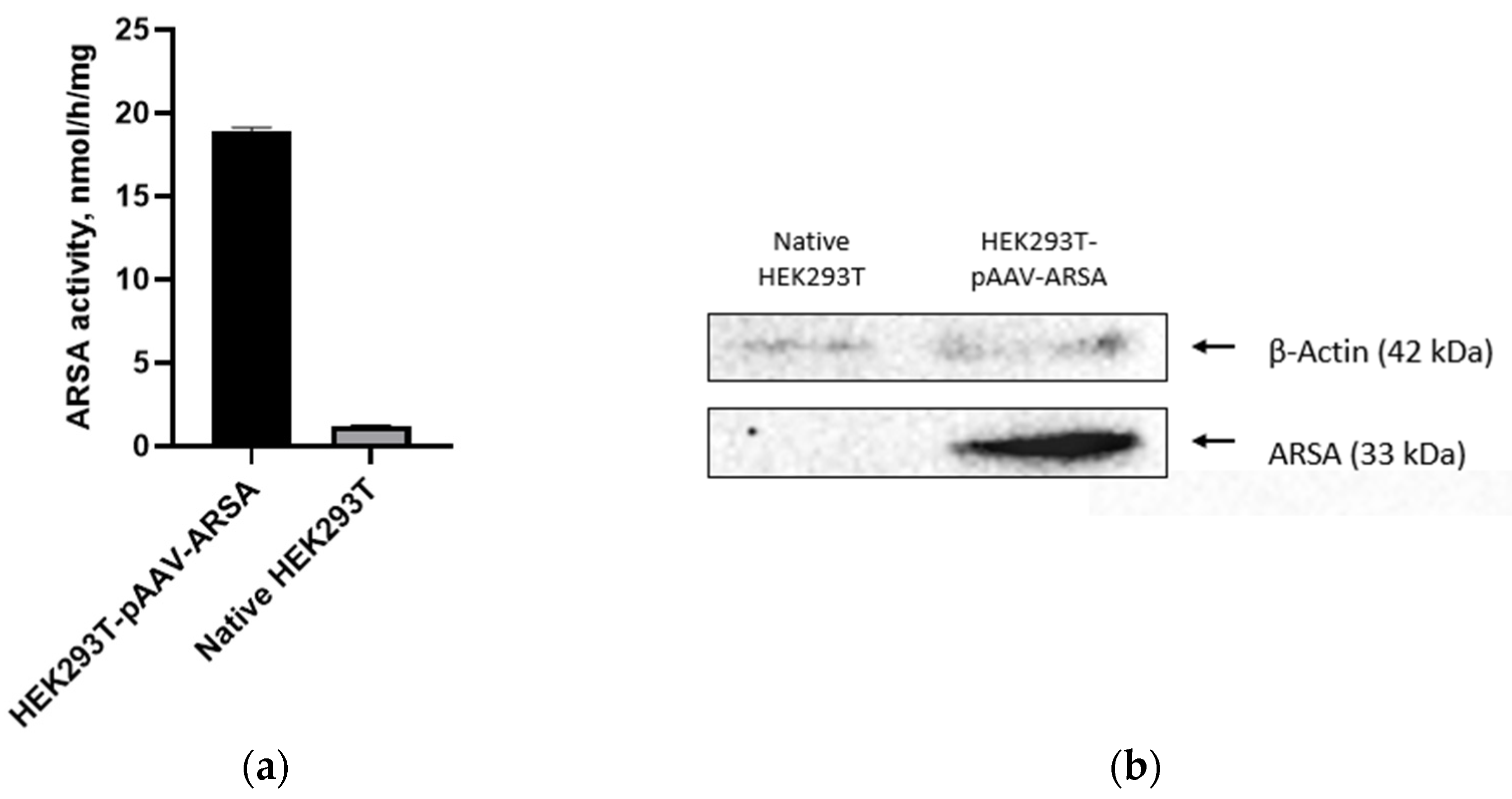 Preprints 71294 g002